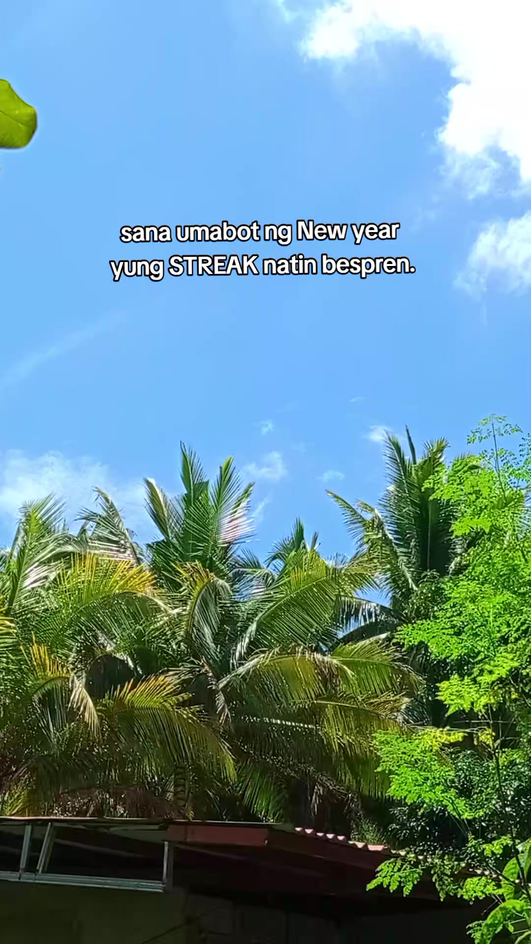 @𝘽𝙤𝙨𝙨 𝘽𝙚𝙣 𝙏𝙤𝙮