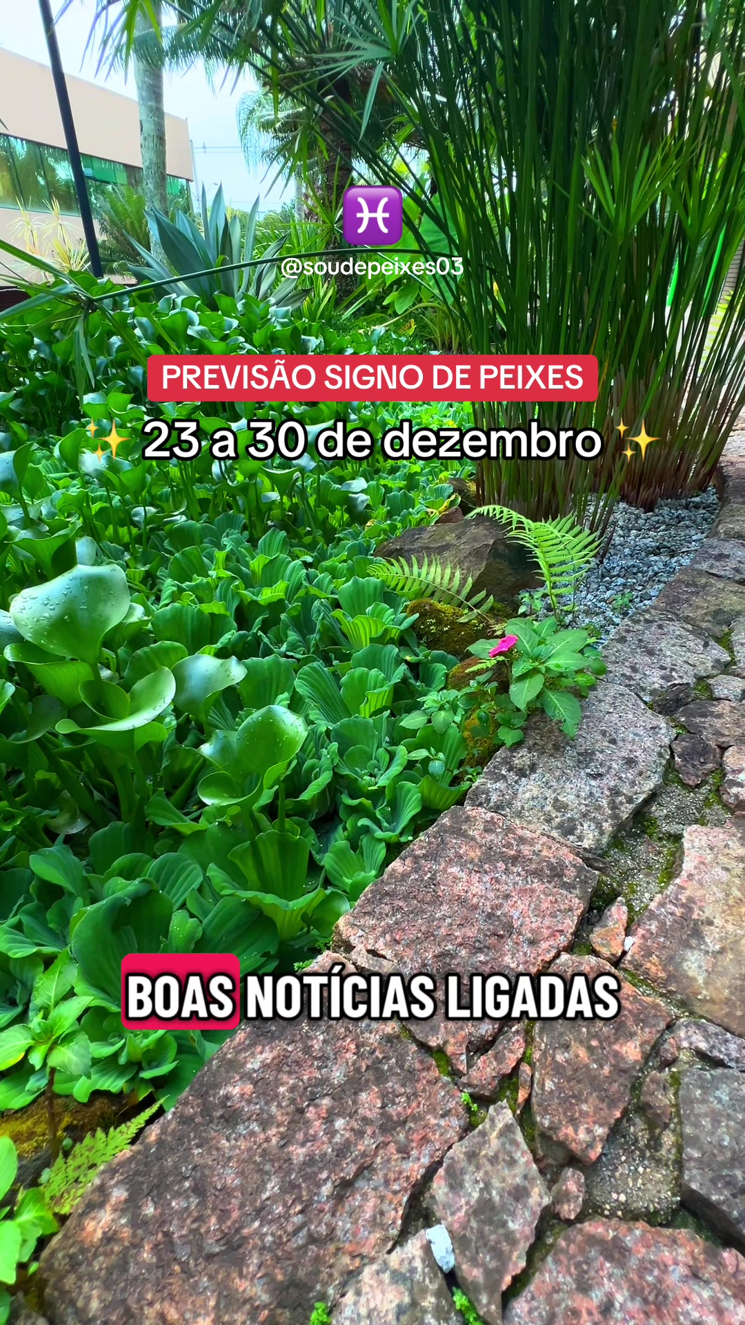 @soudepeixes