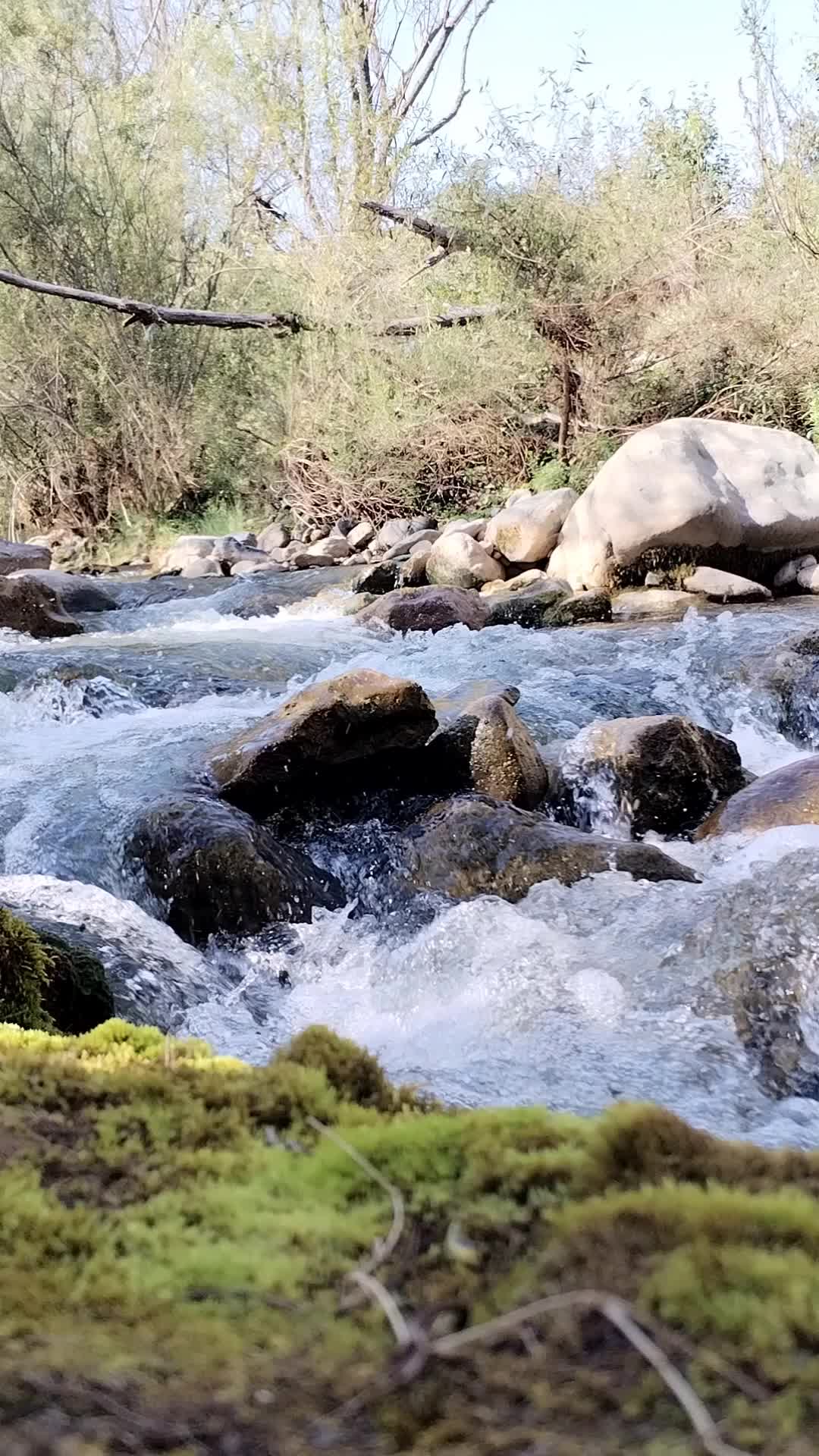 @LAÇIN EMİN
