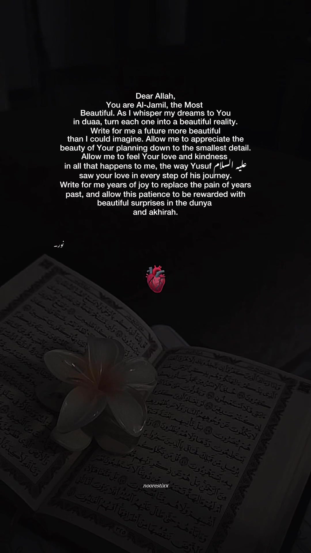 @نور🦢