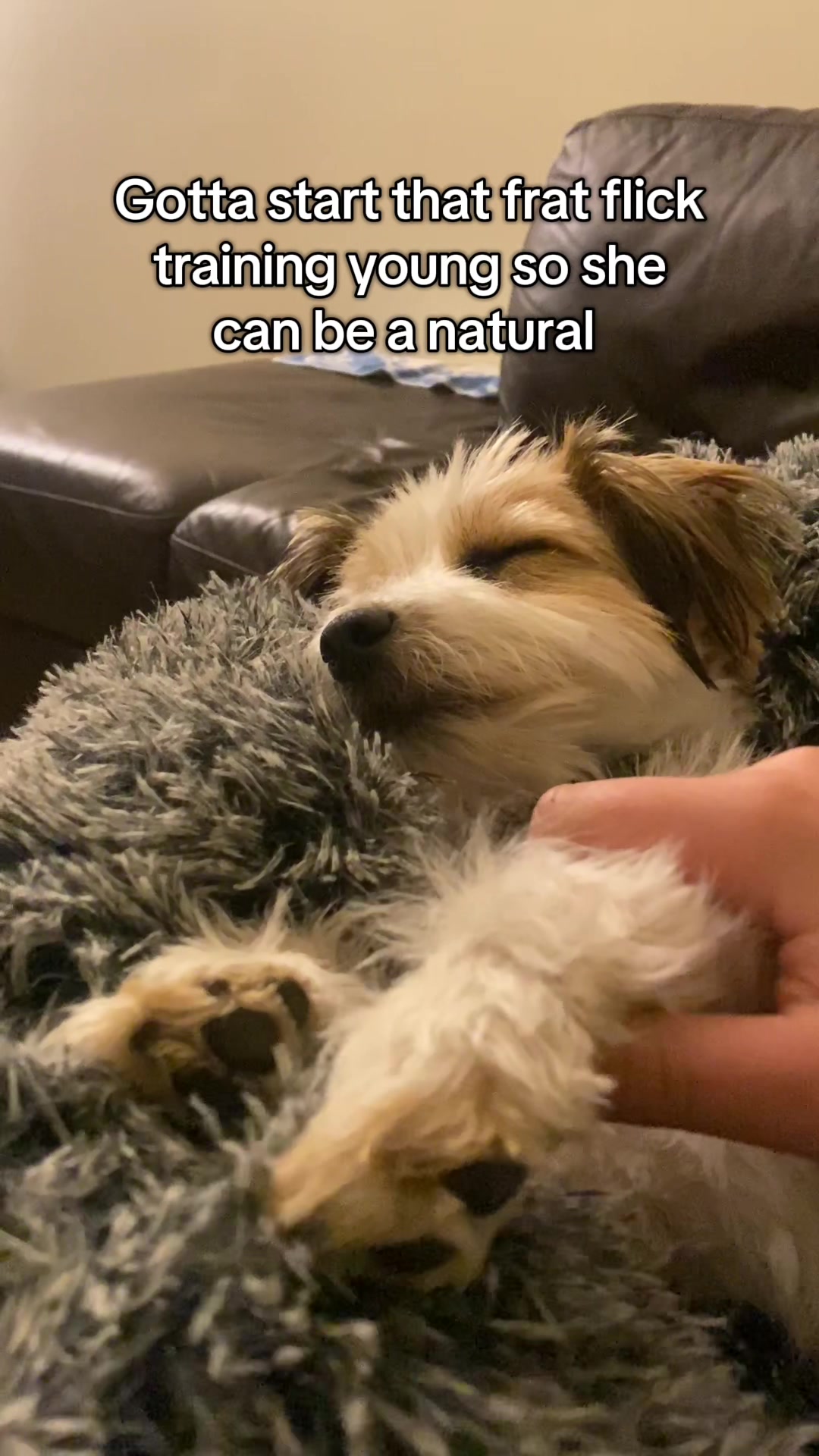 @SomethingSilly