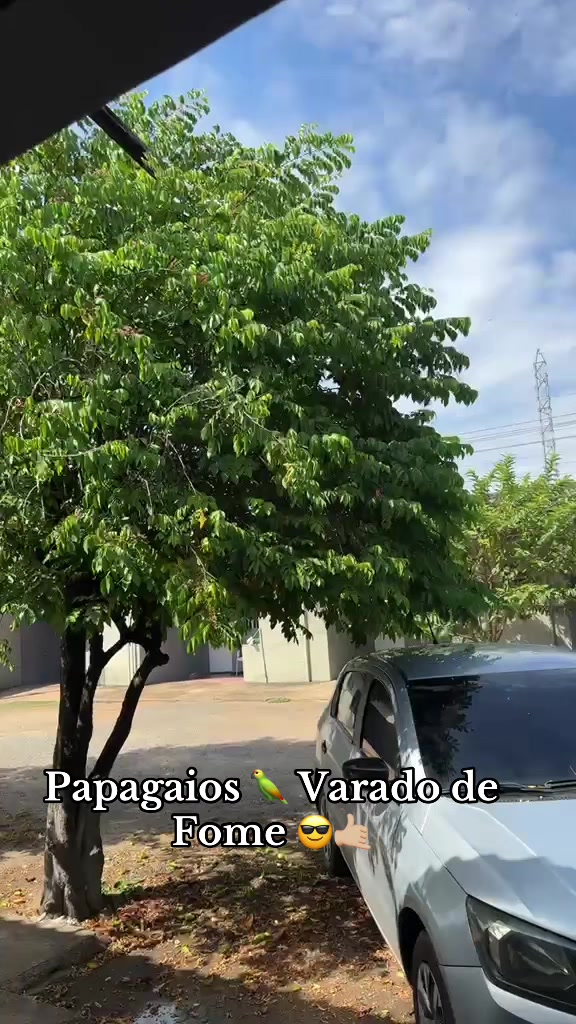 @Pedro Jorge filho