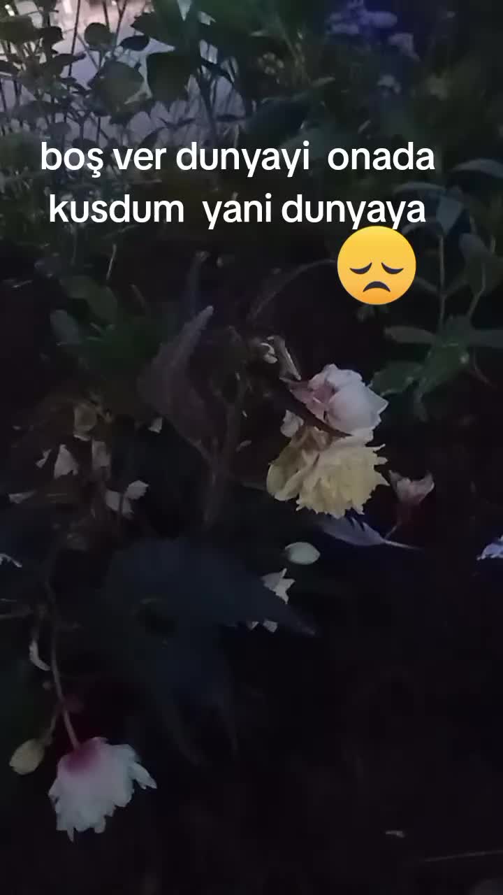 @cengiz karaca🇹🇷🇲🇫🇹🇷🇲🇫