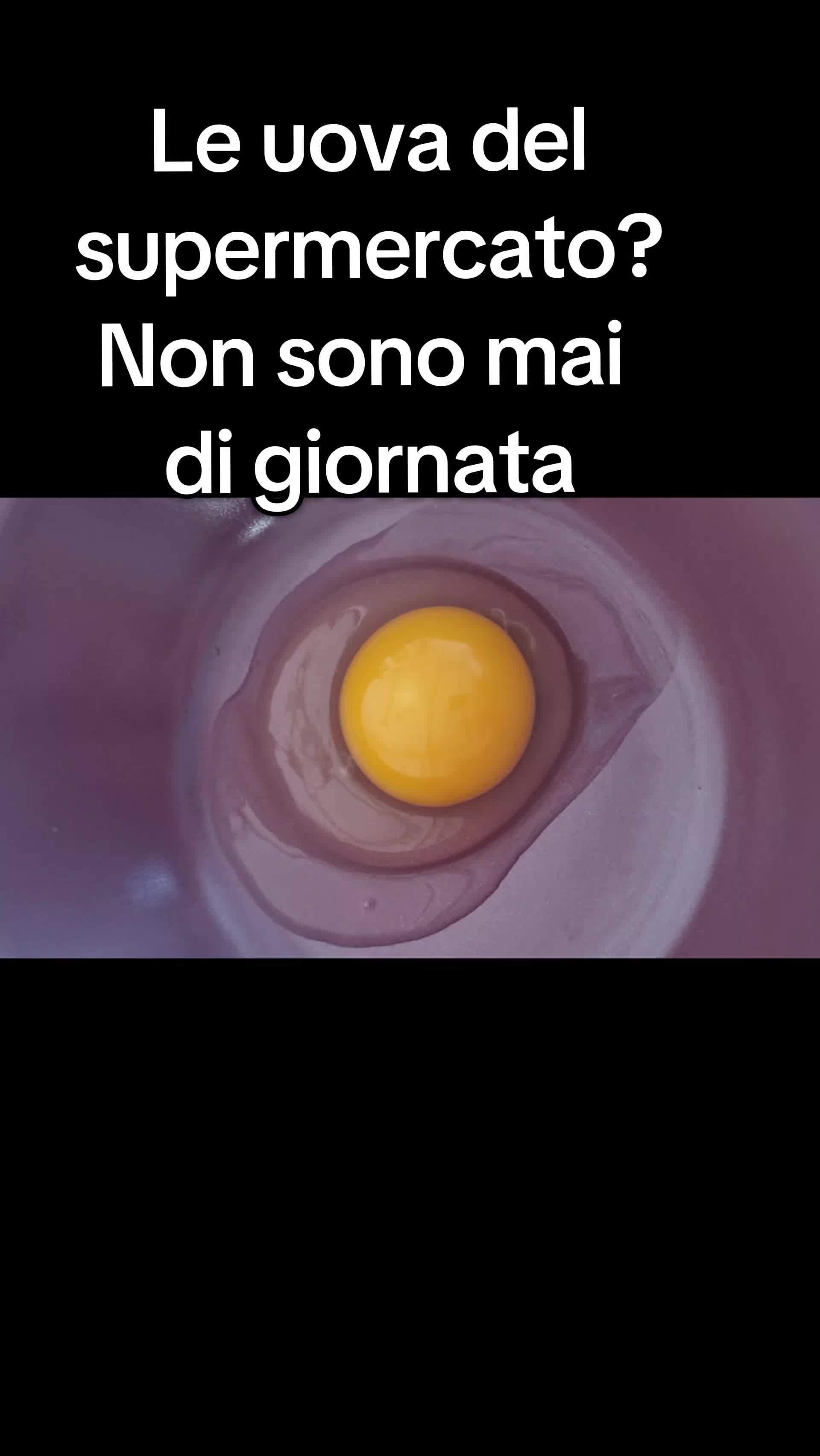 @Il leone e la gallina