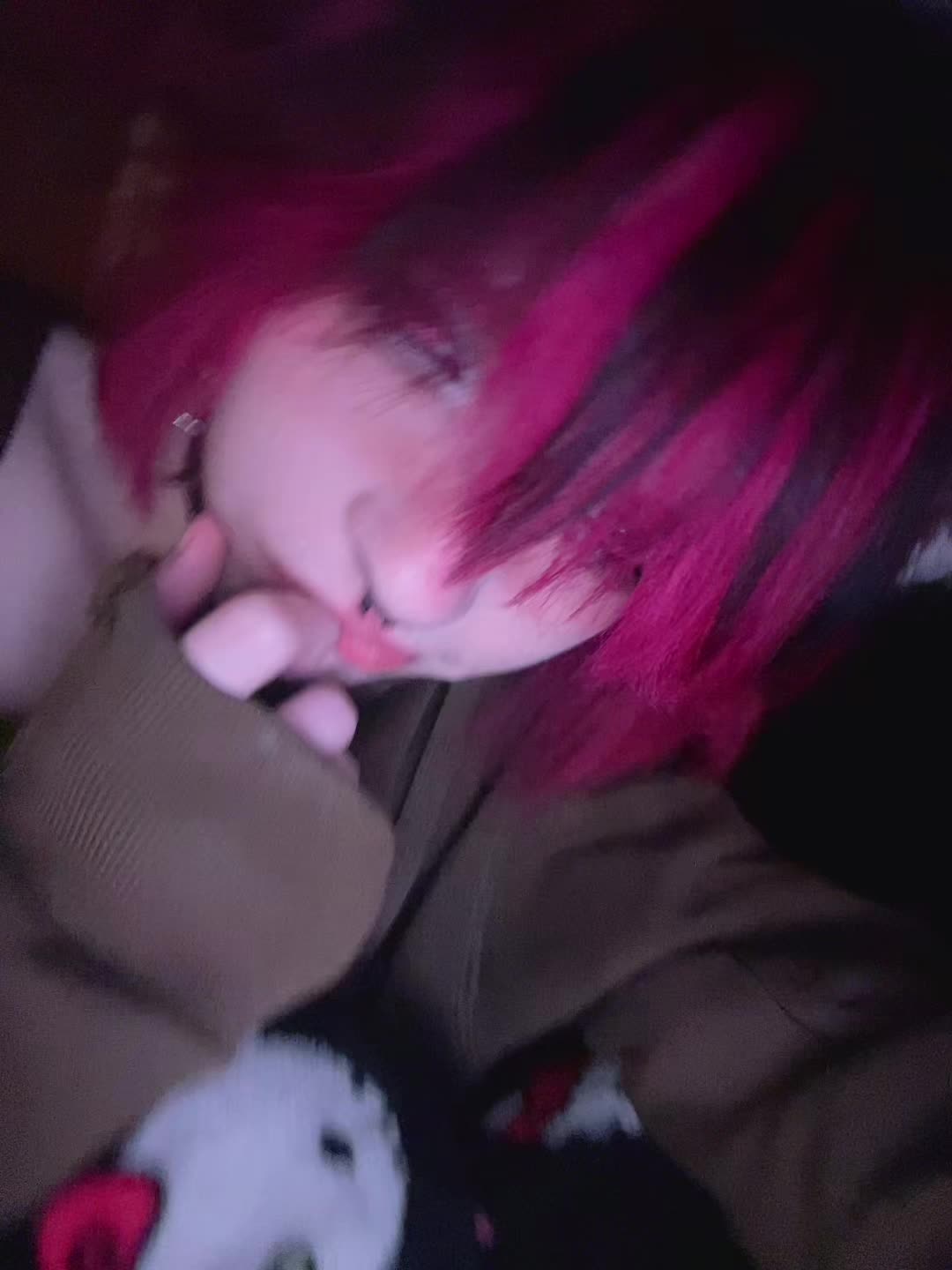 @࣪ ִֶָ☾.݁𝑲𝑶𝑻𝑨✃𓄧꒷꒦