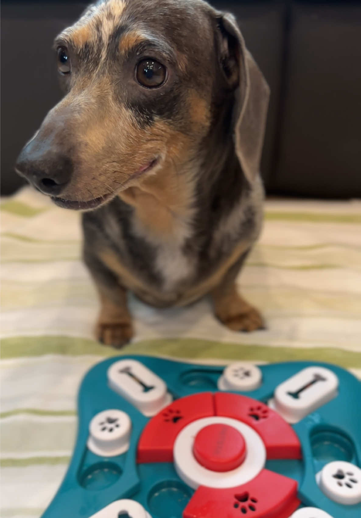 @Oscar The Wiener