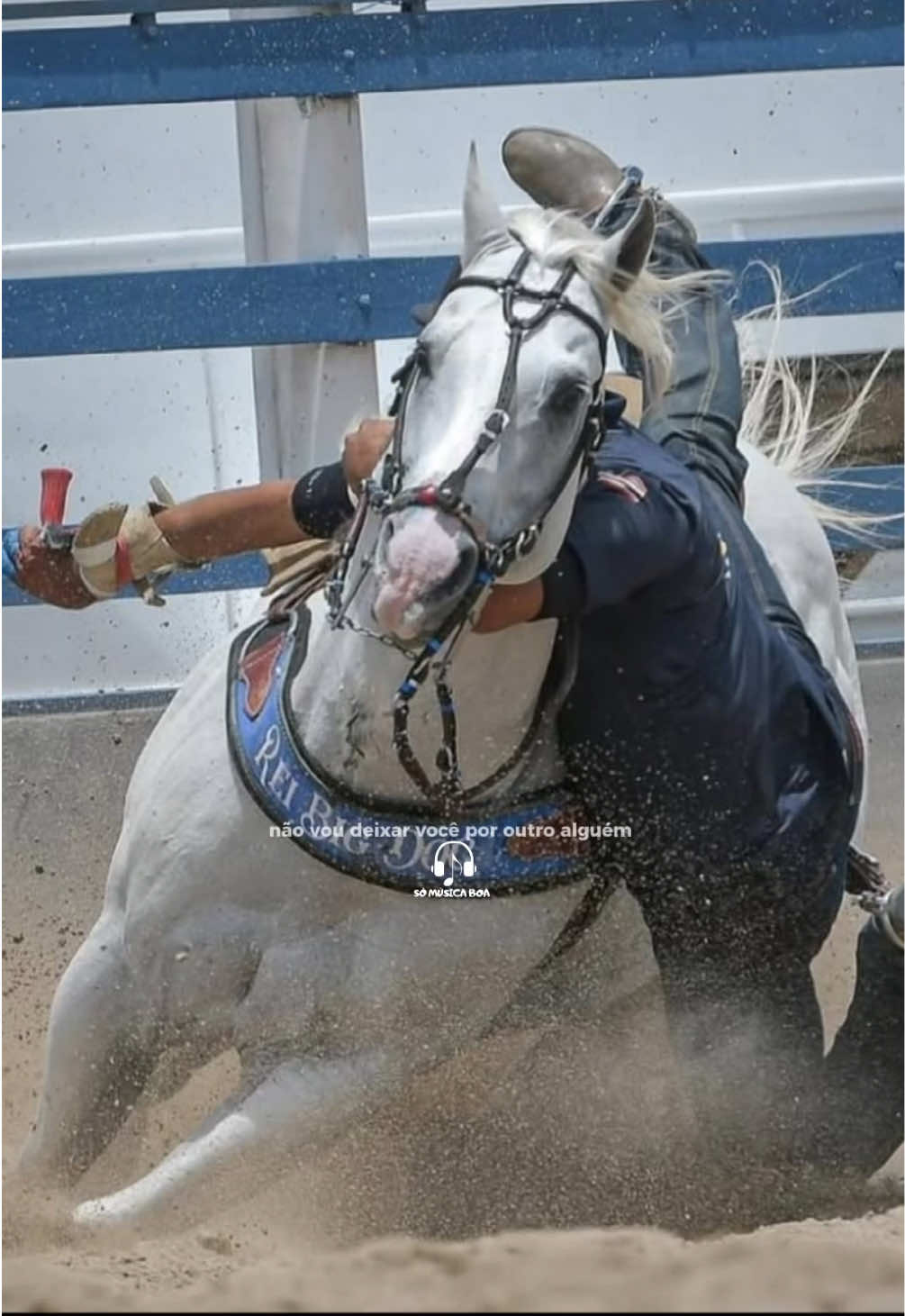 @forró de vaquejada