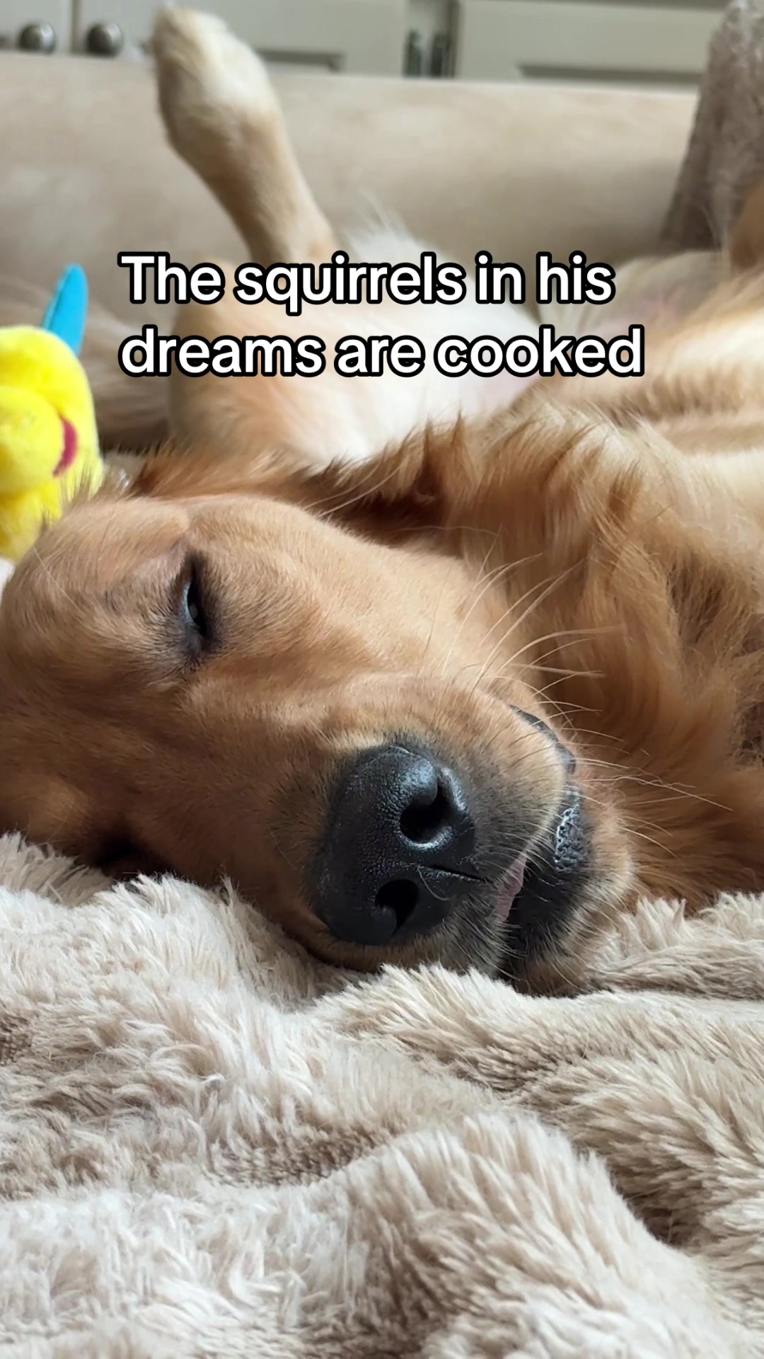 @Charlie the Golden