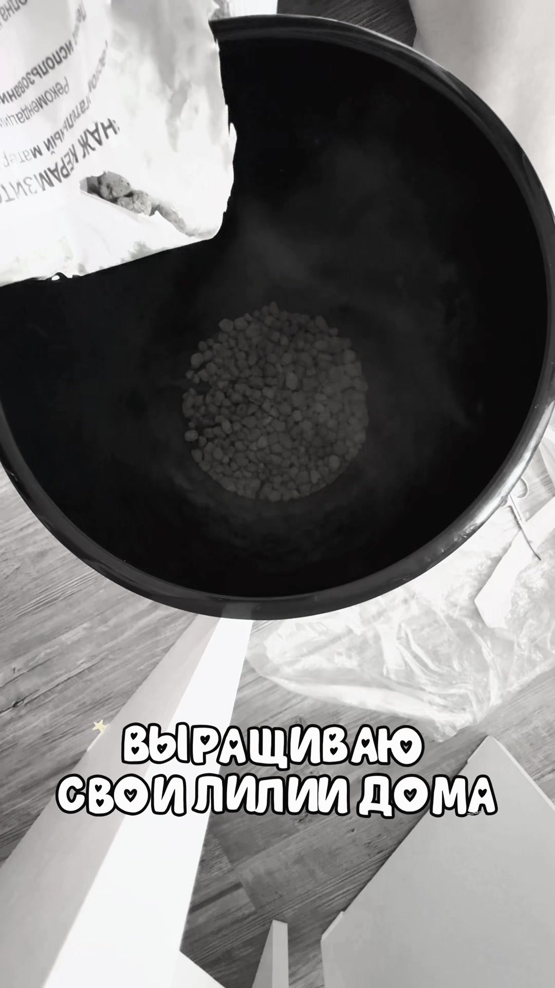 @sillverr
