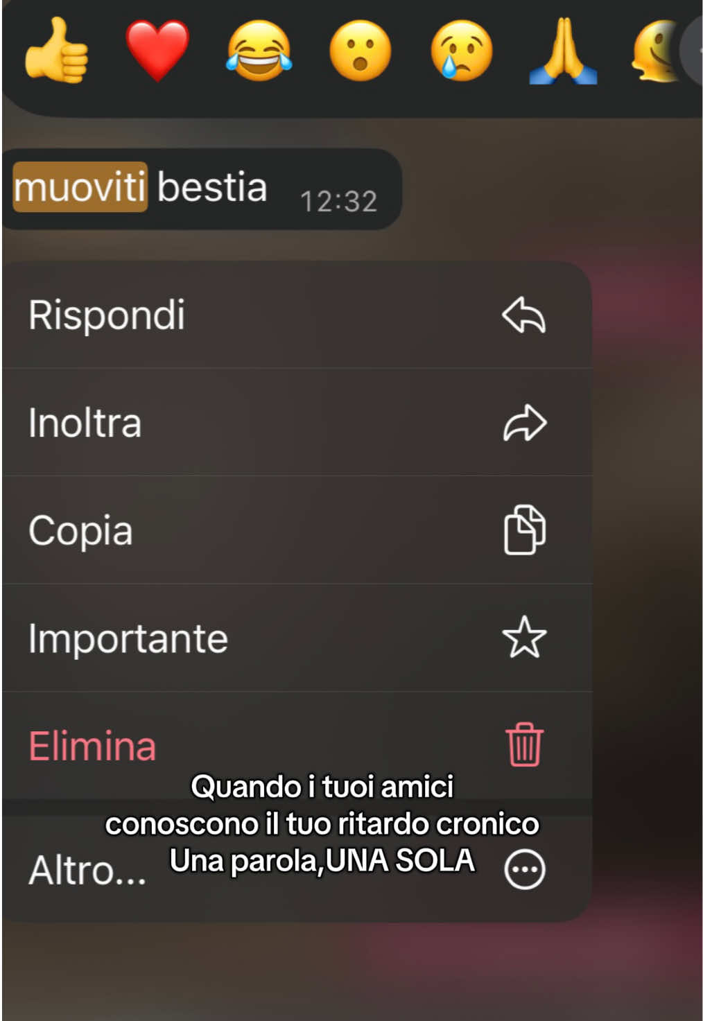 @Alice Oliverio