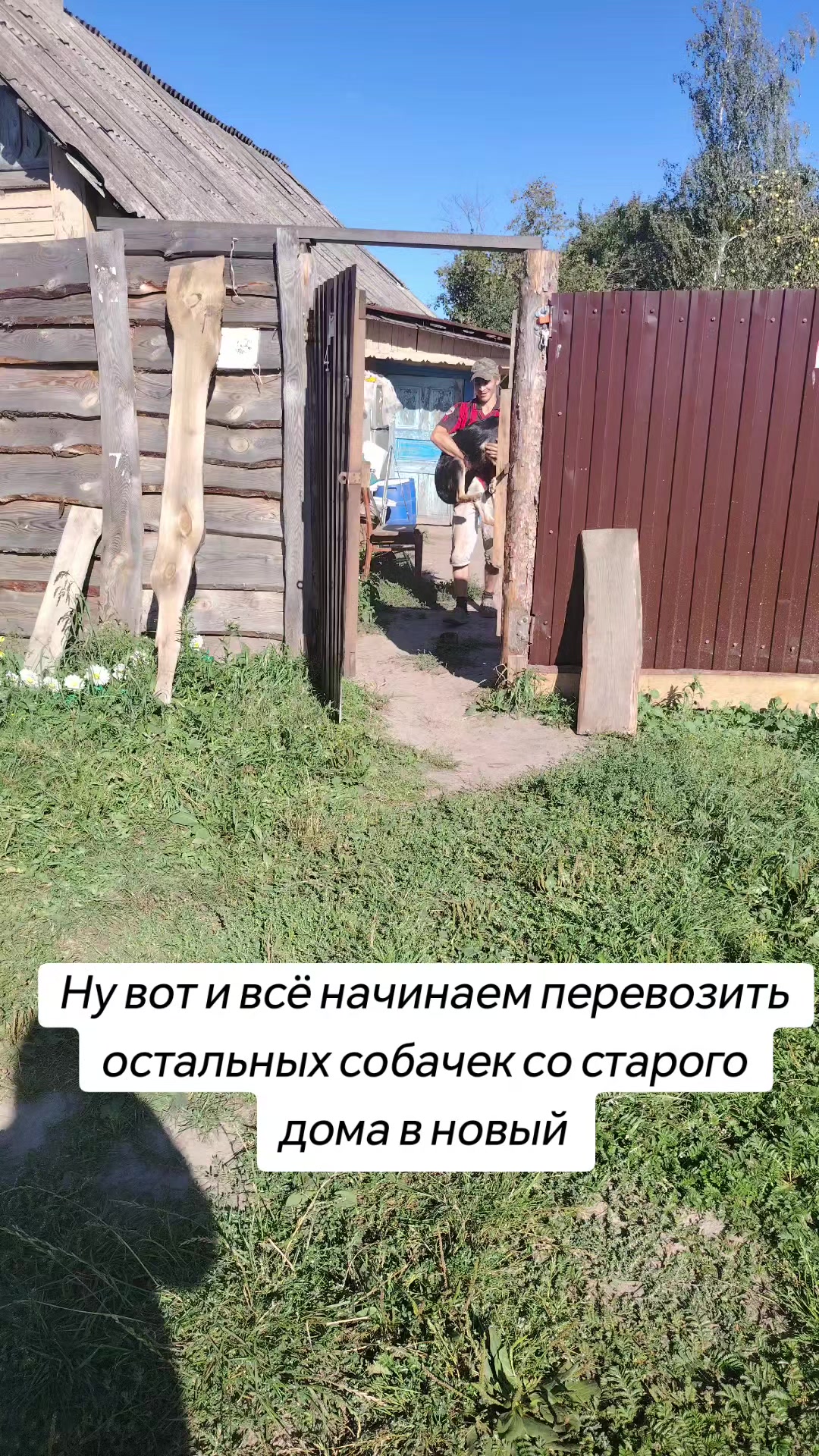 @Передержка «Лёнин рай» 🐶🦮