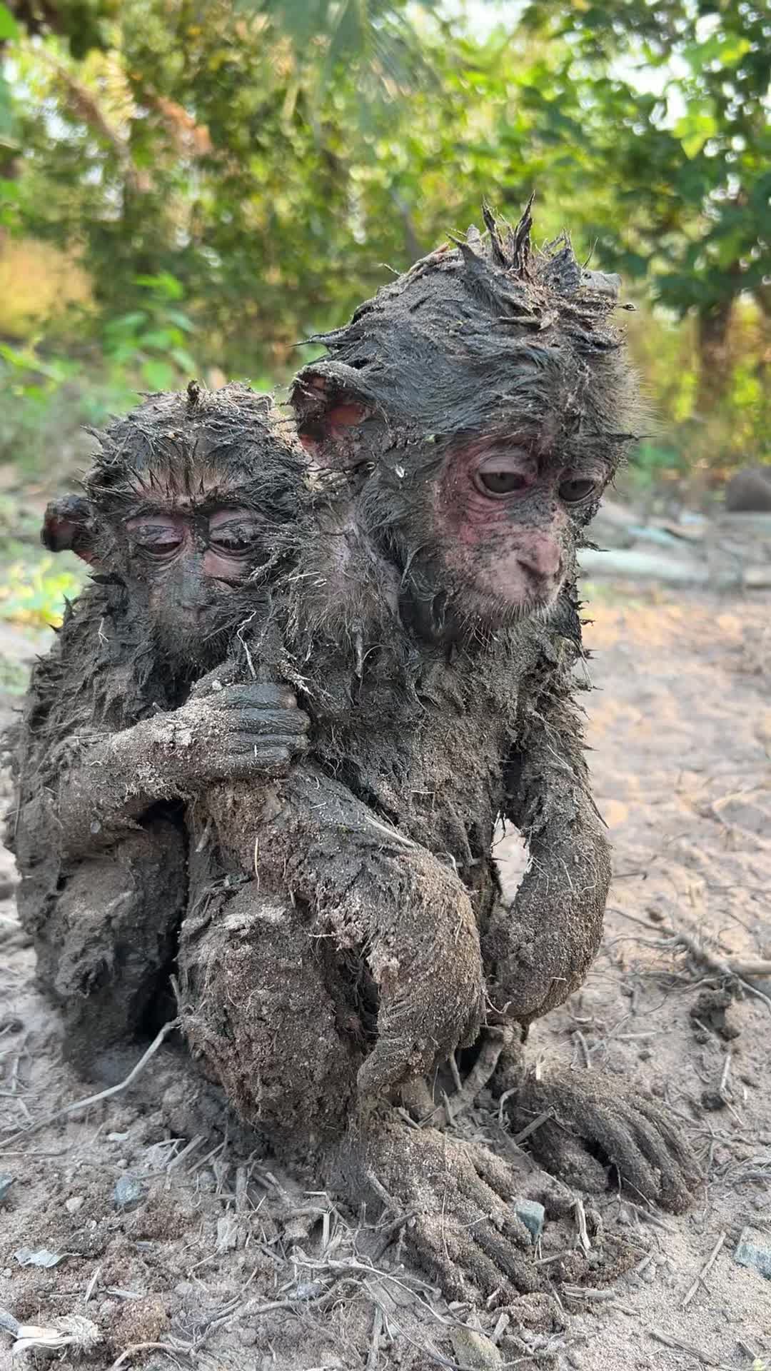 @monkeymoo666
