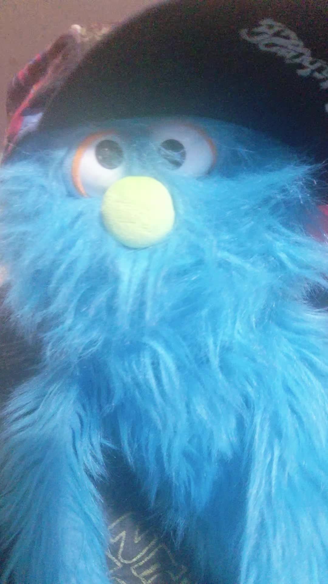@💙pickelrick/ juggalo Muppet💙