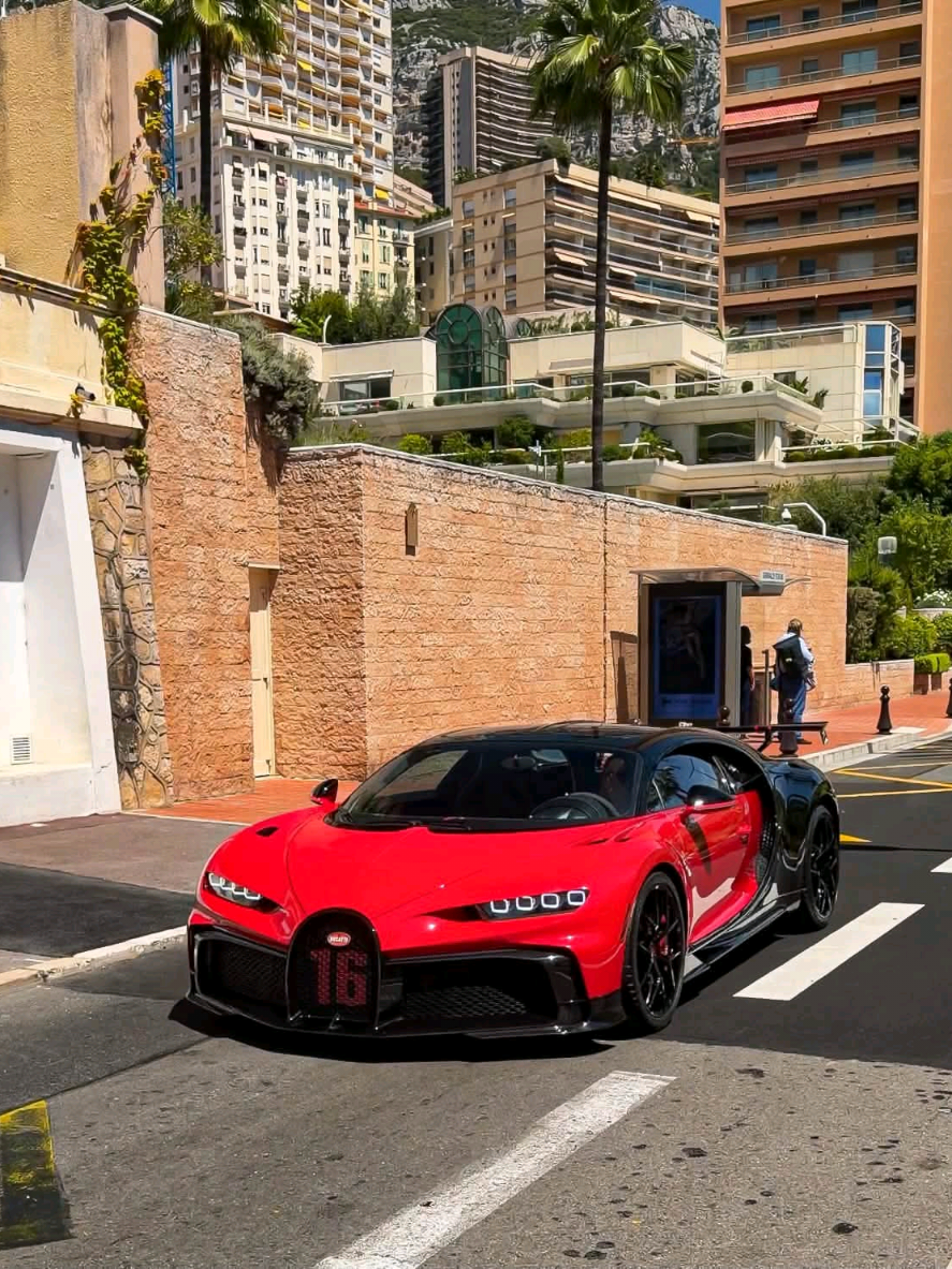 @✨️Xlm-Luxury