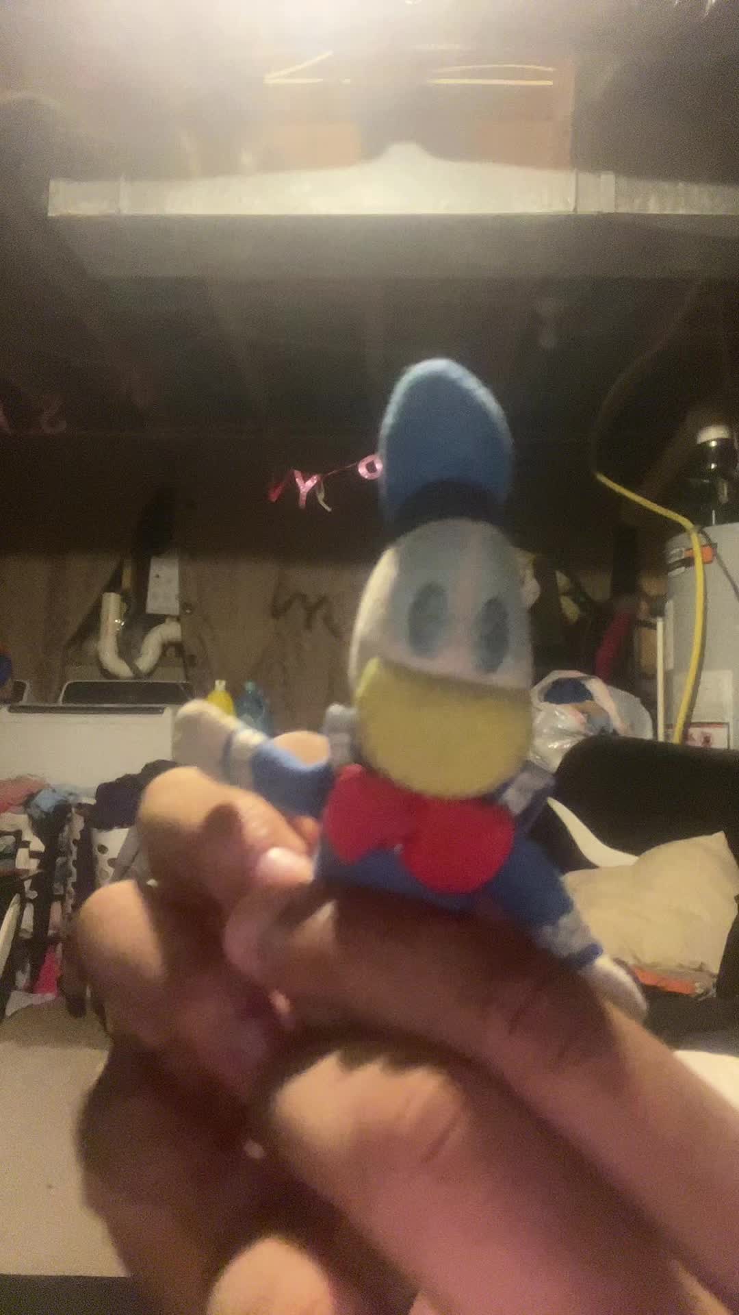 @Donald Duck