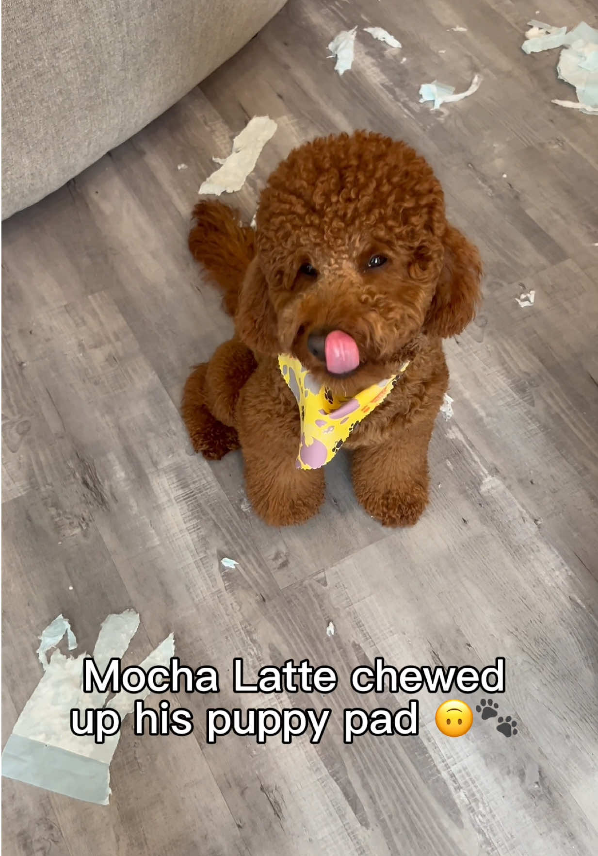 @LA Shay & Mocha Latte 🤞🏾