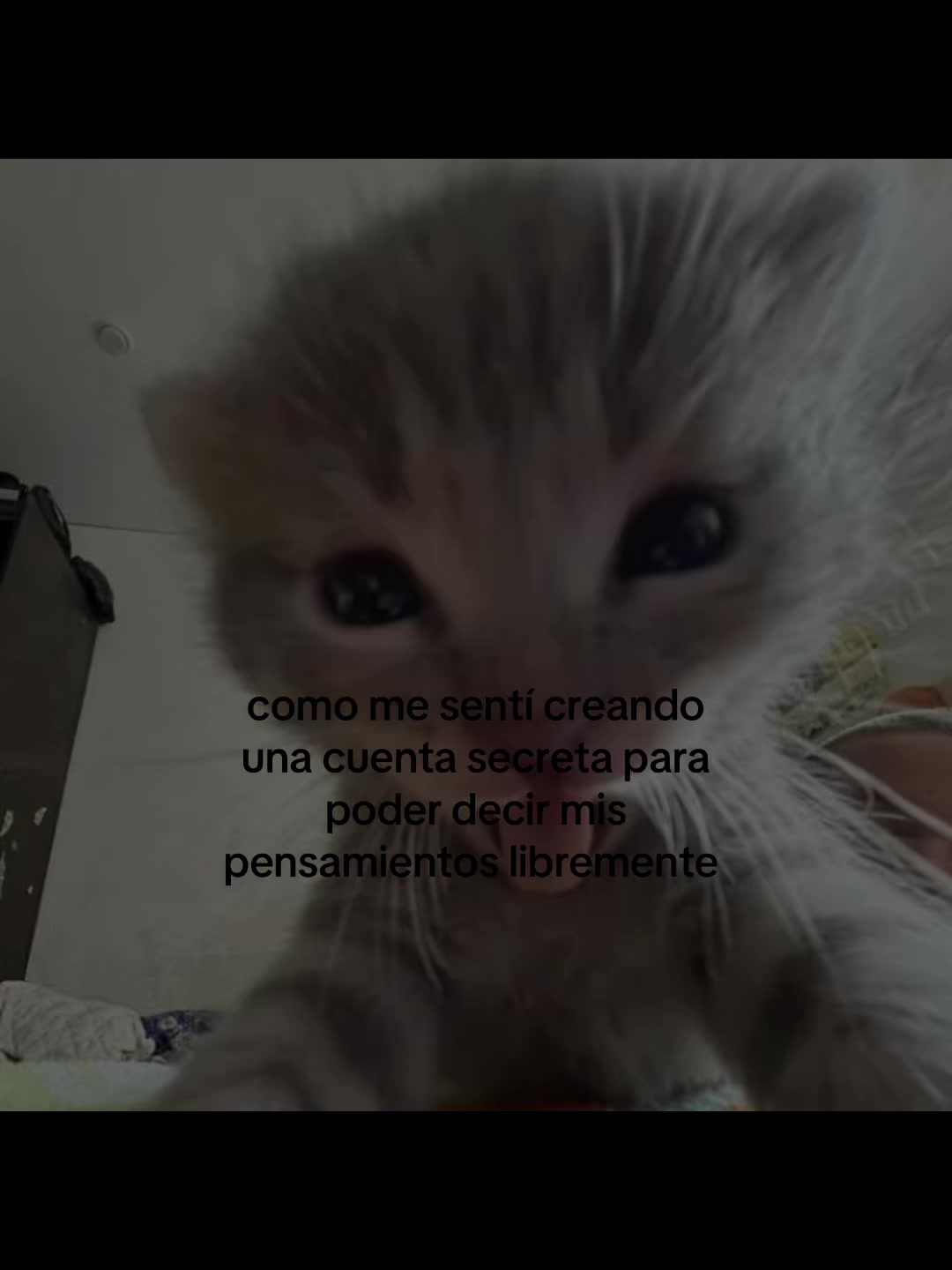 @secretaaaas