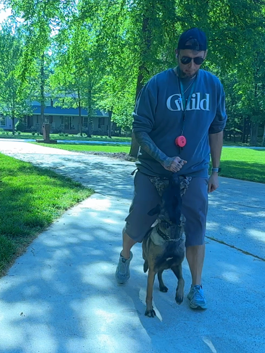 @Lost Boys K9 Academy