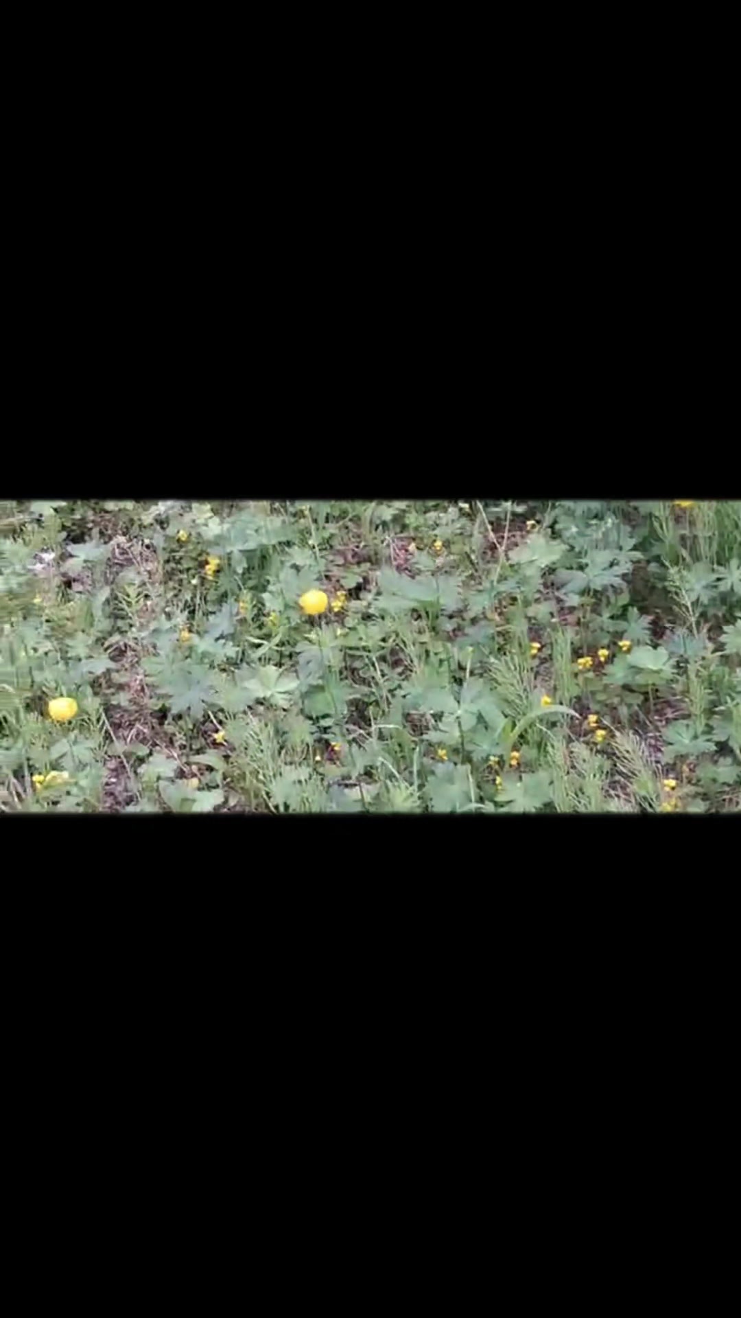 @Энджэ