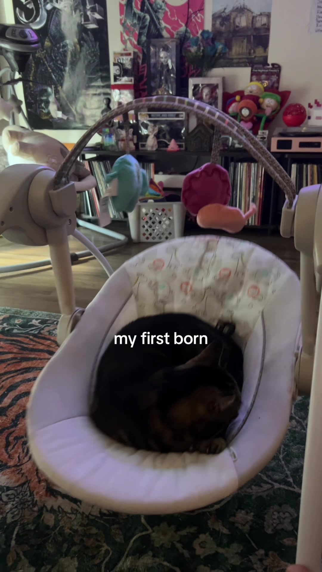 @ashton 🐶
