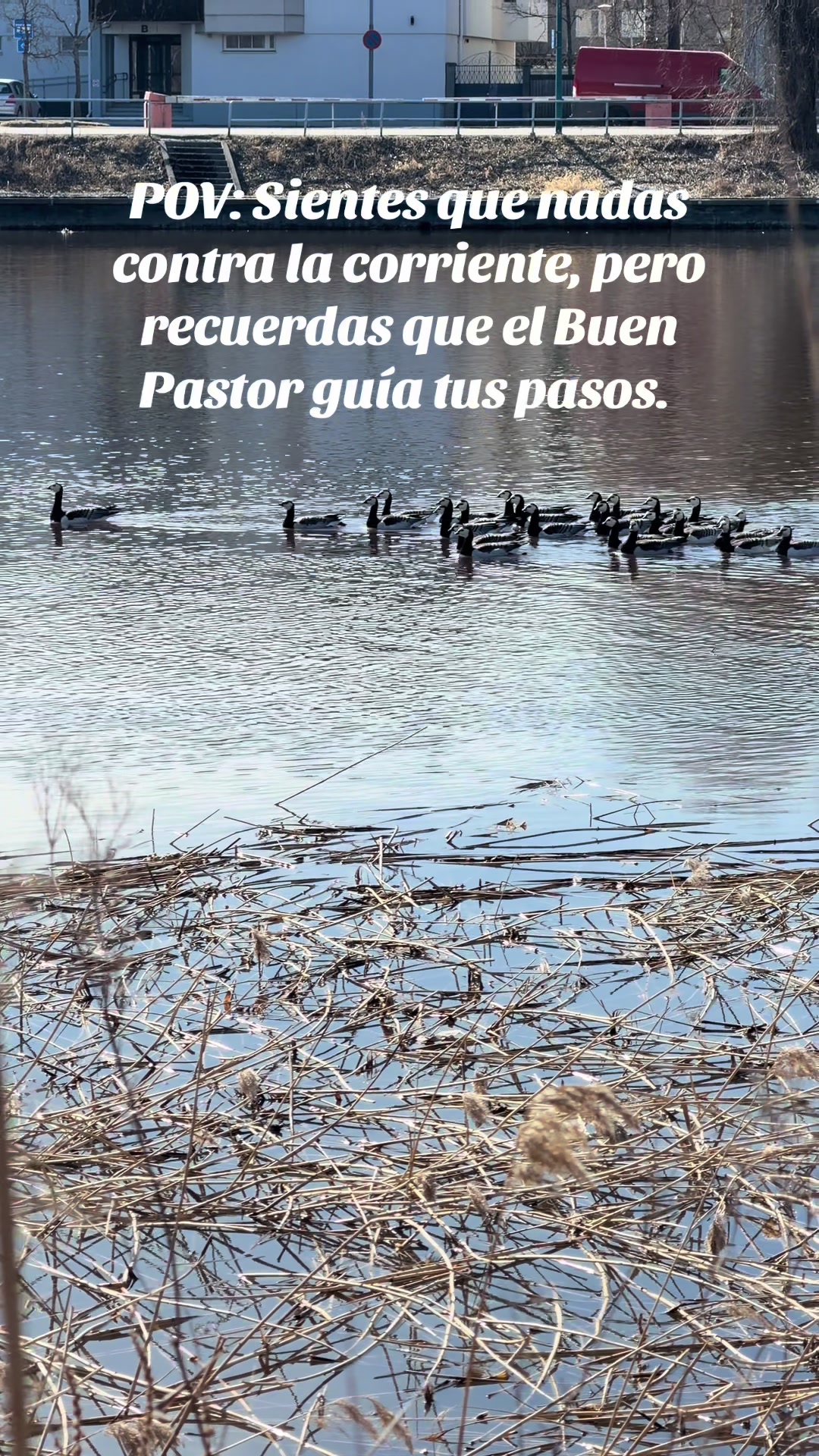 @Emanuel Santander |Reflexiónes