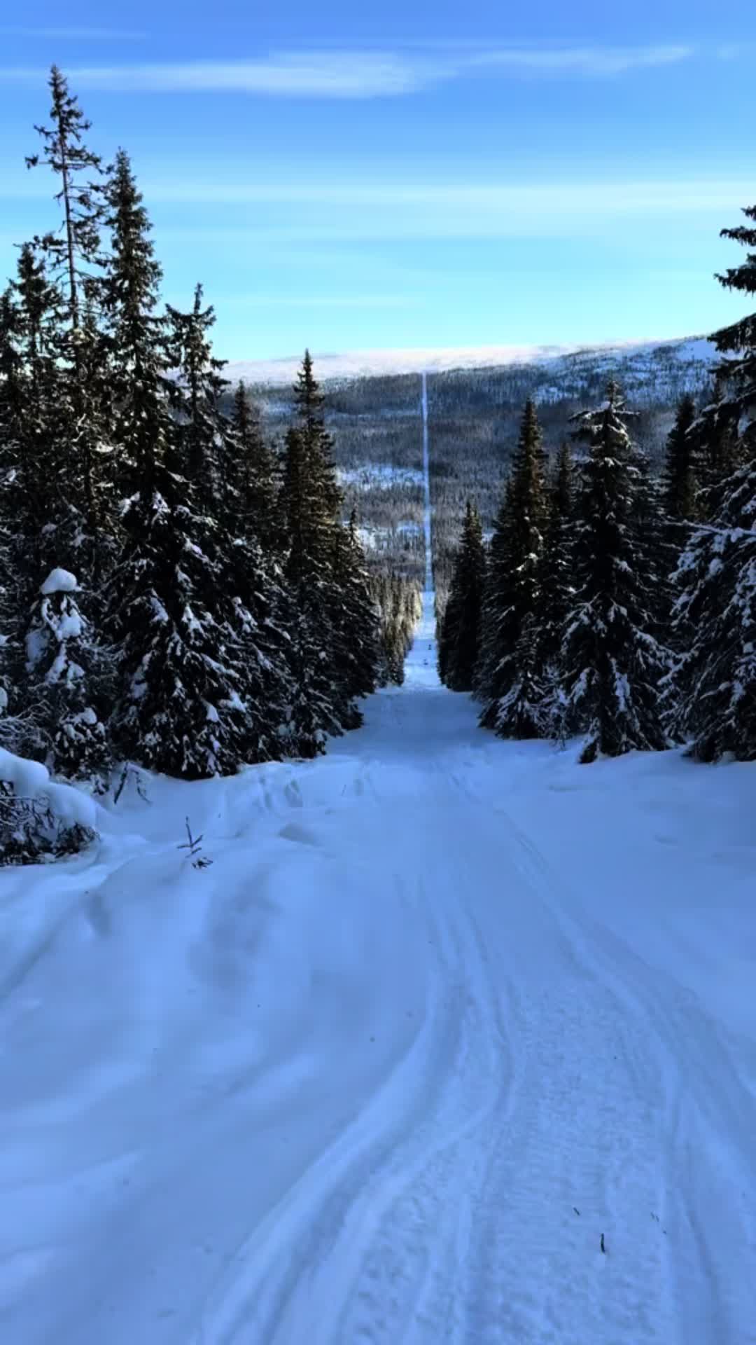 @Natalie Palovaara
