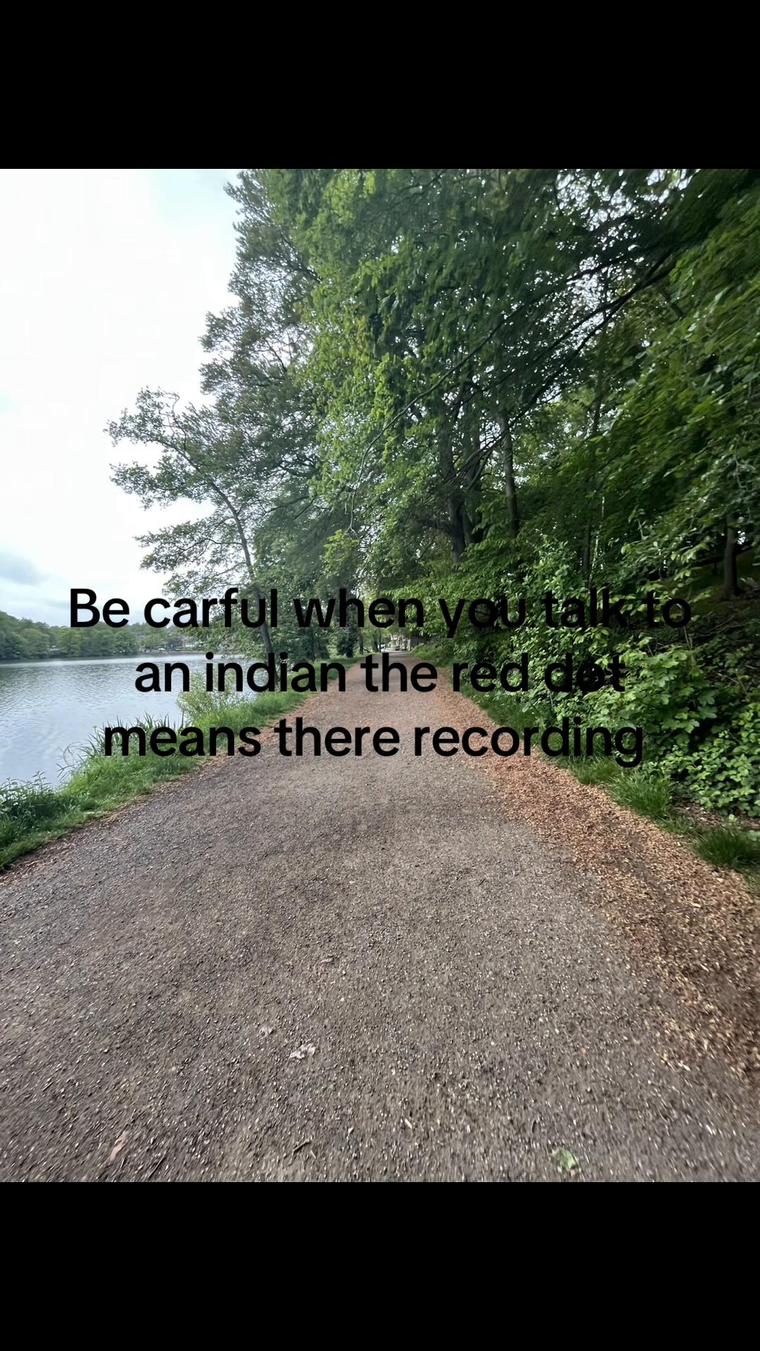 @Ava 🍋🎸🇬🇧🐊