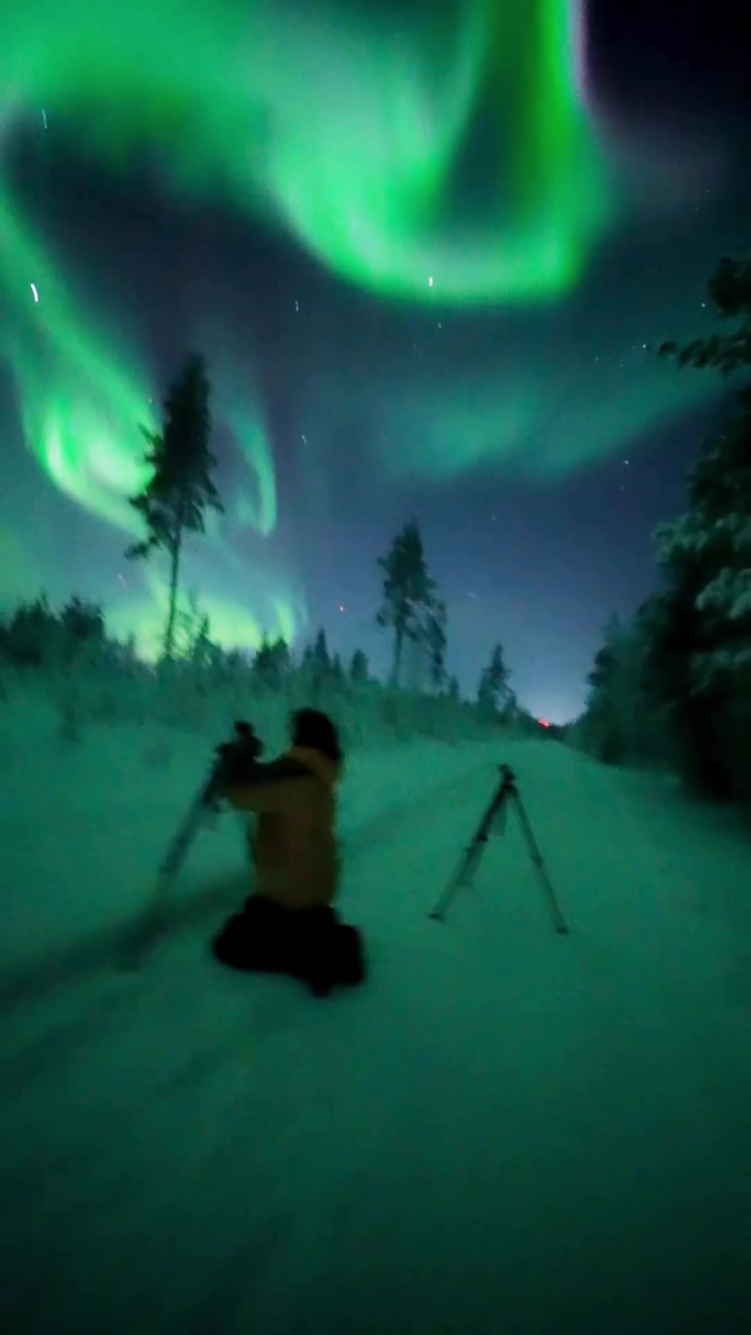@lorenzmira_lapland