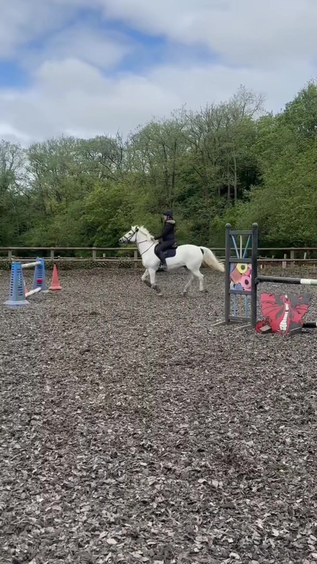 @amelia_showjumping2