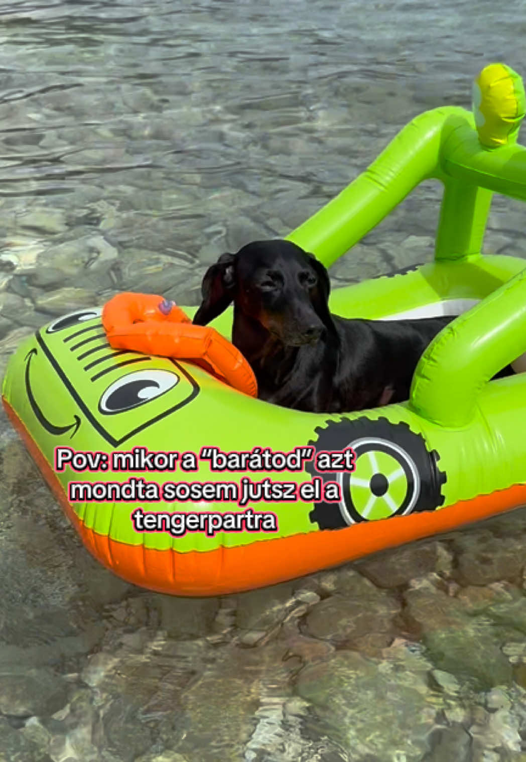 @🐾 Pajti kalandjai 🐾