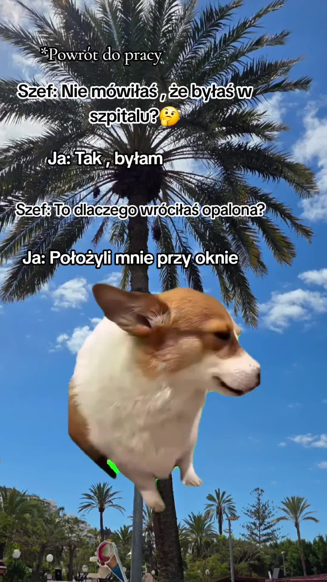 @𝒜𝓈𝒾𝒶 𝒥☯𝒶𝓃𝓃𝒶