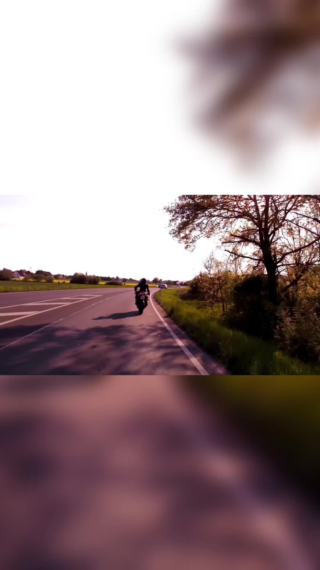 @bikes_bunny
