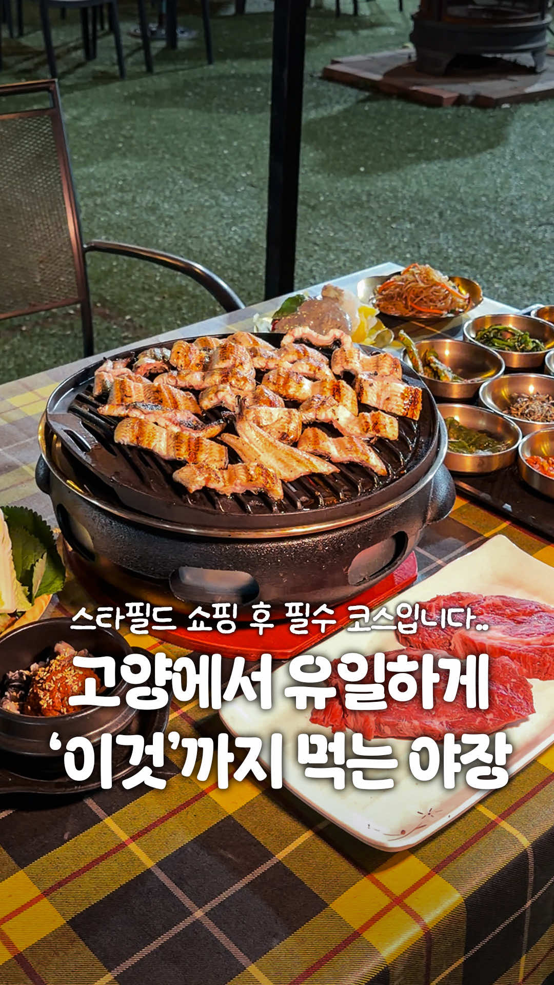 @일산갈고양