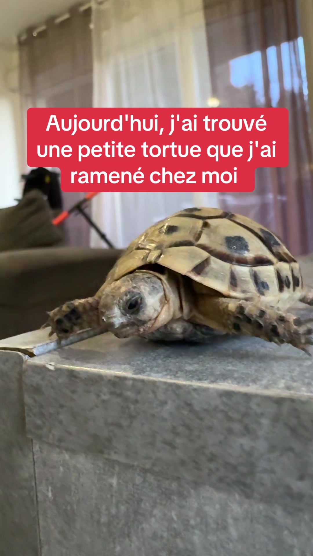 @naton.lyane