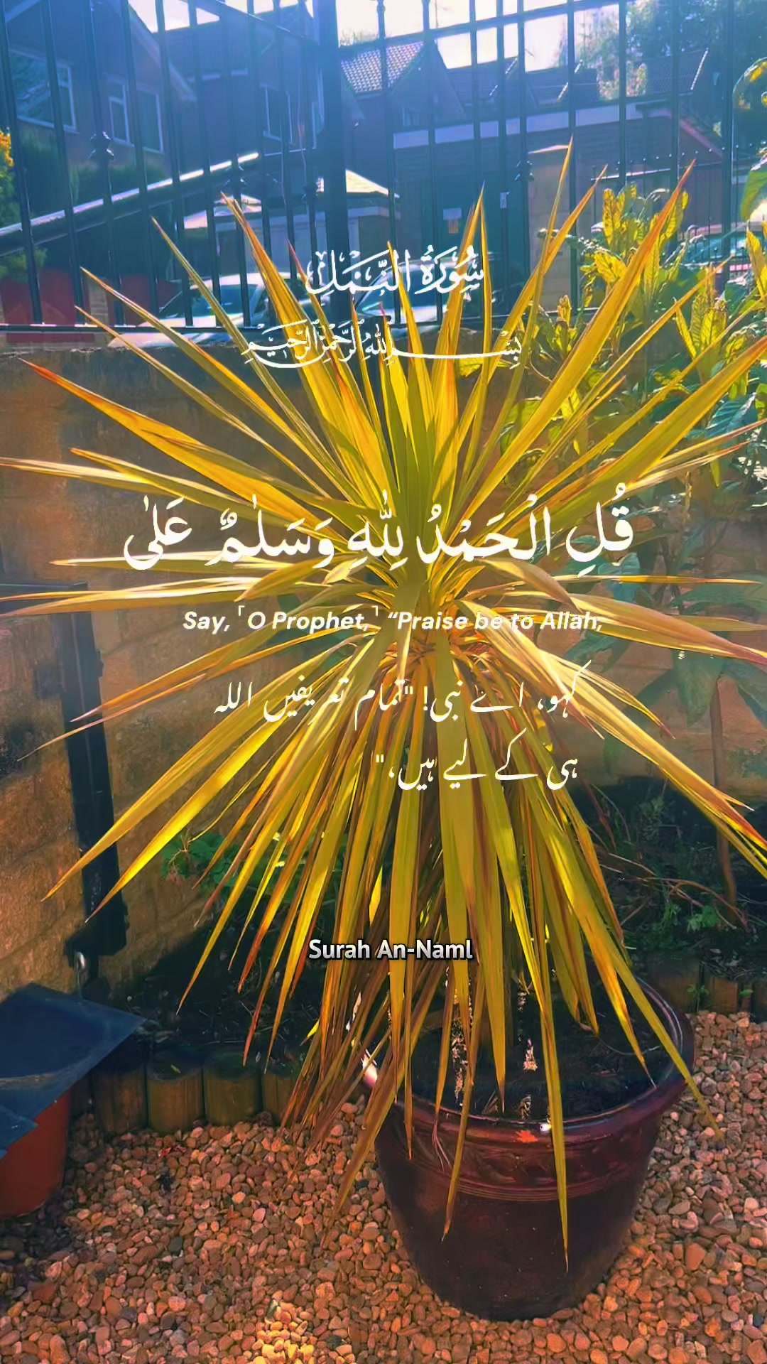 @maqrafiq