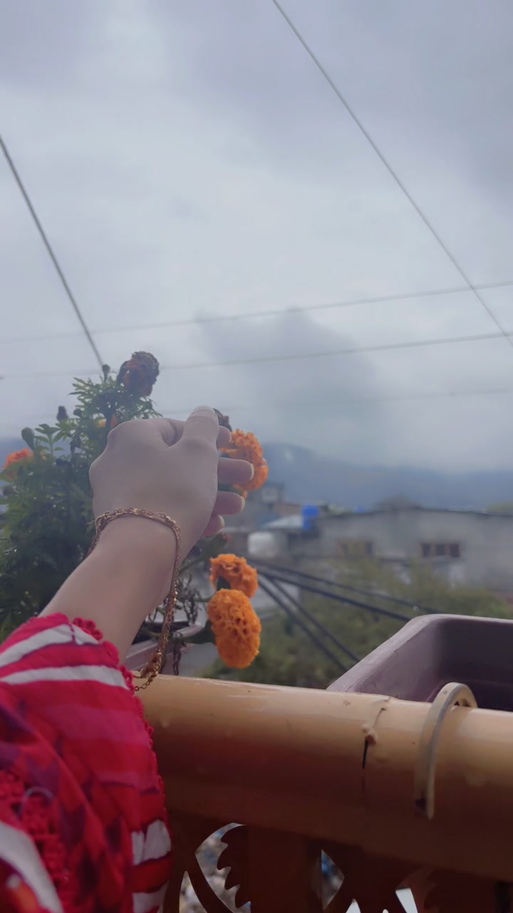 @Gulaal 🦢