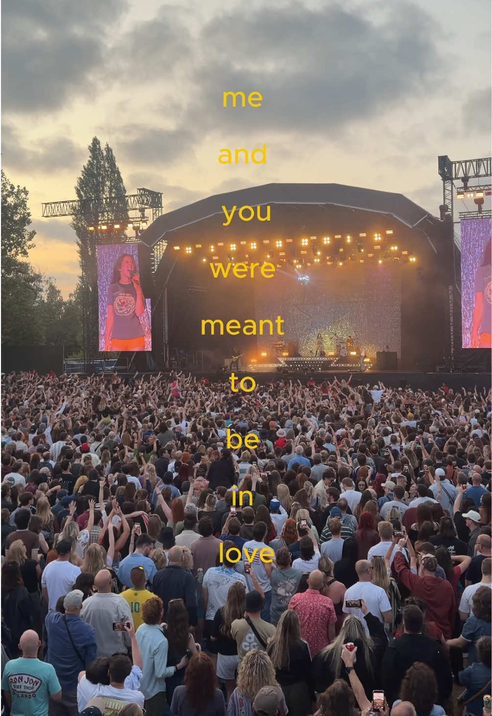 @Wolf Alice