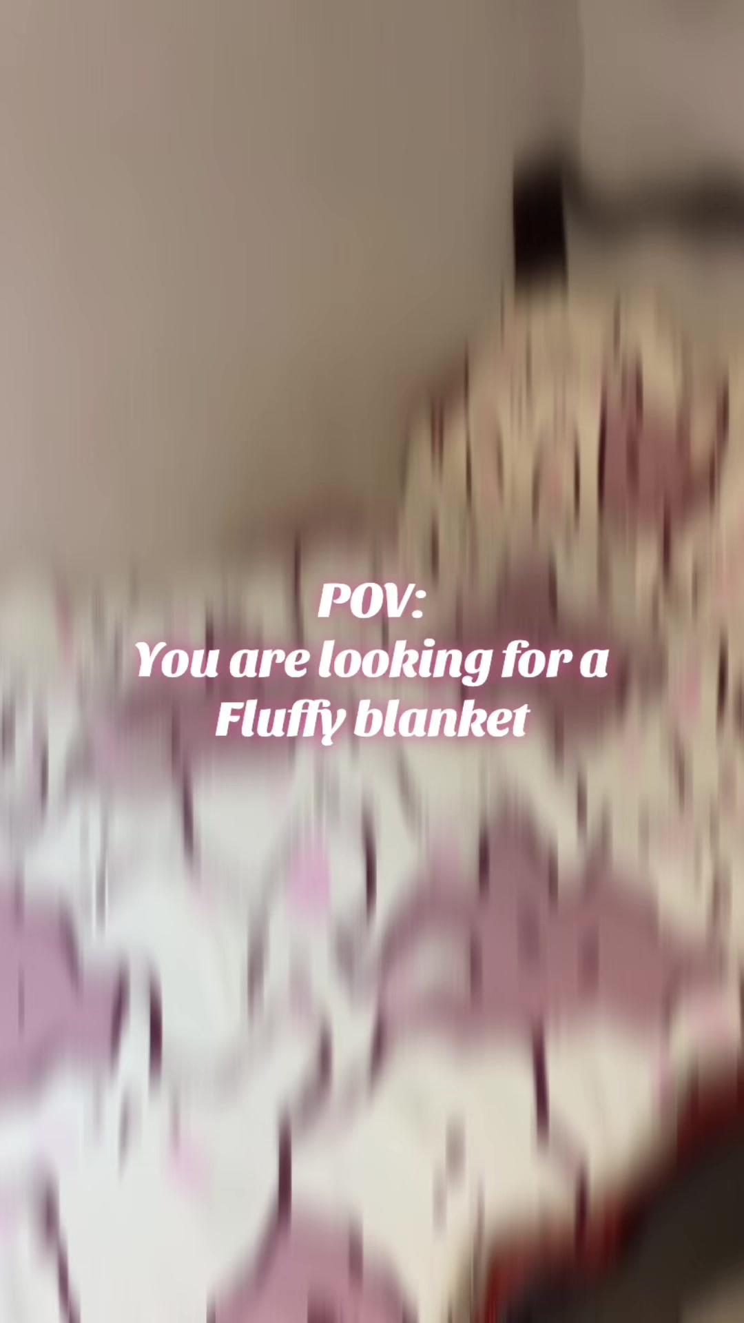 @Zey