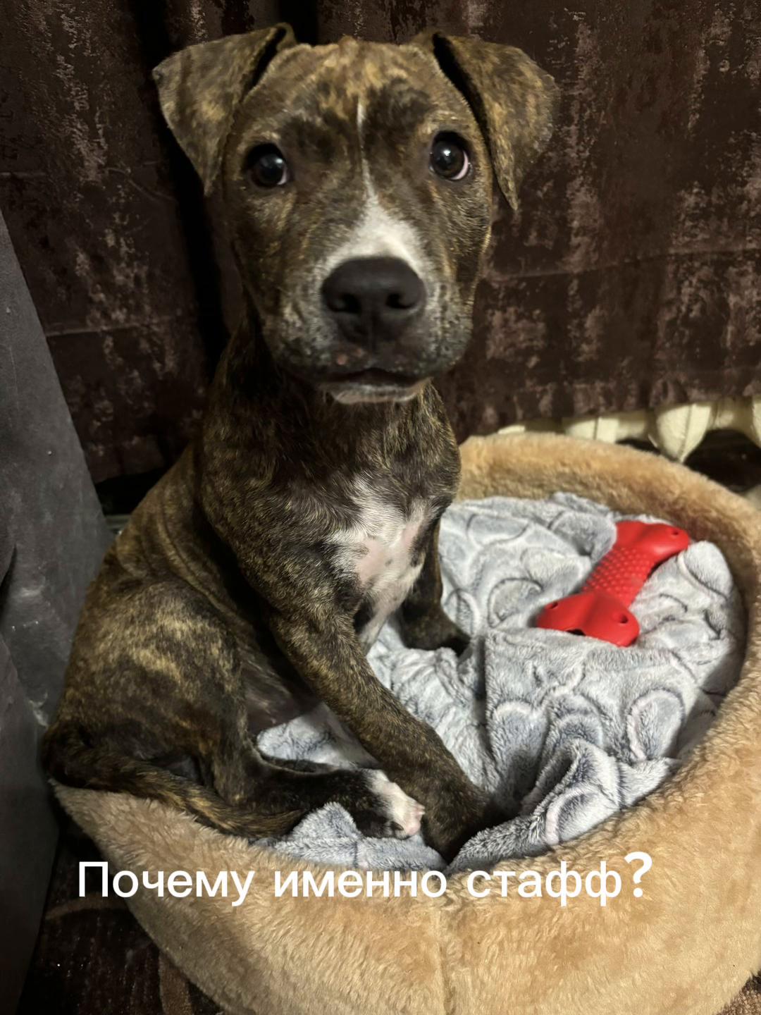 @Манюня