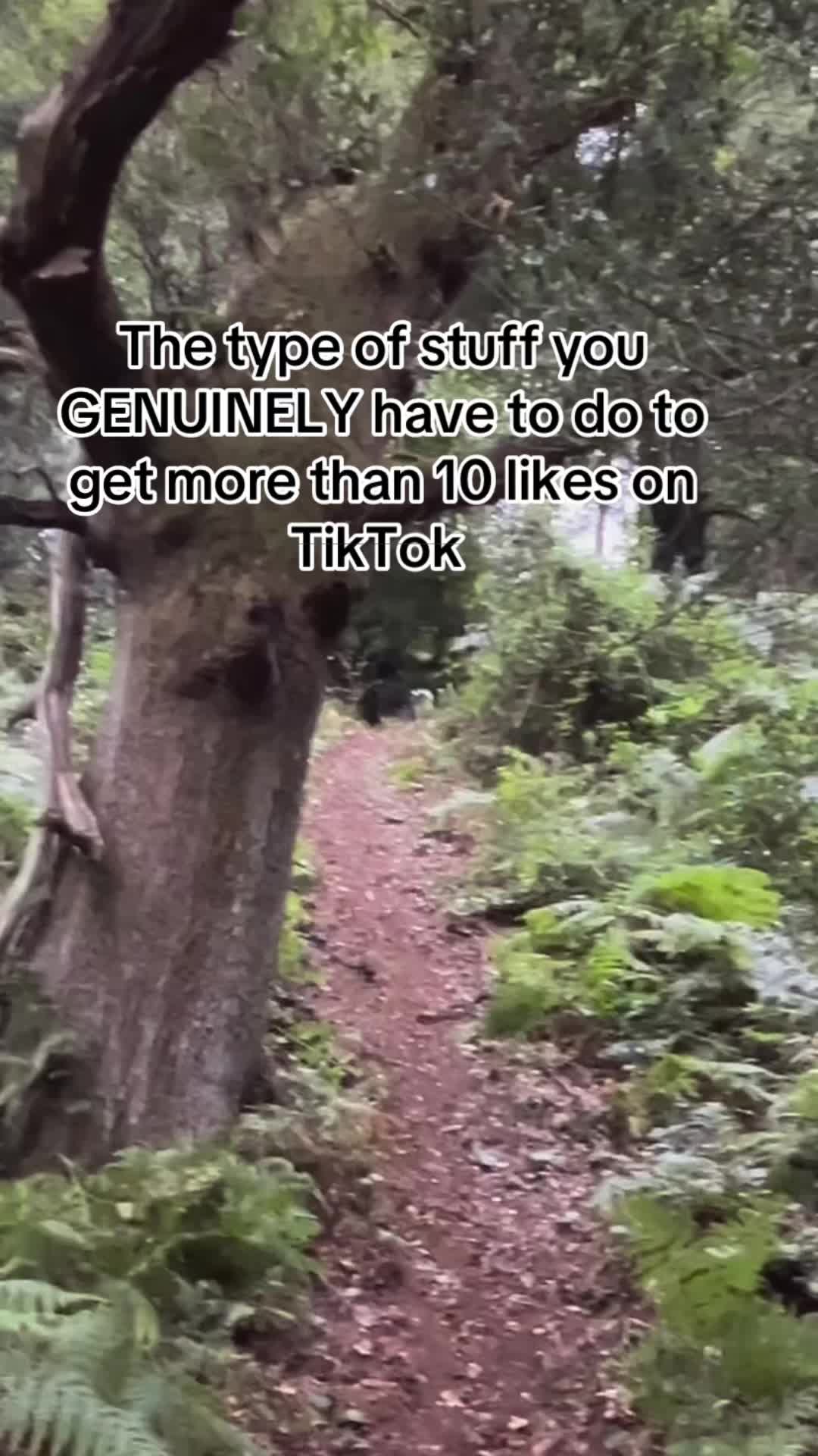 @Joe
