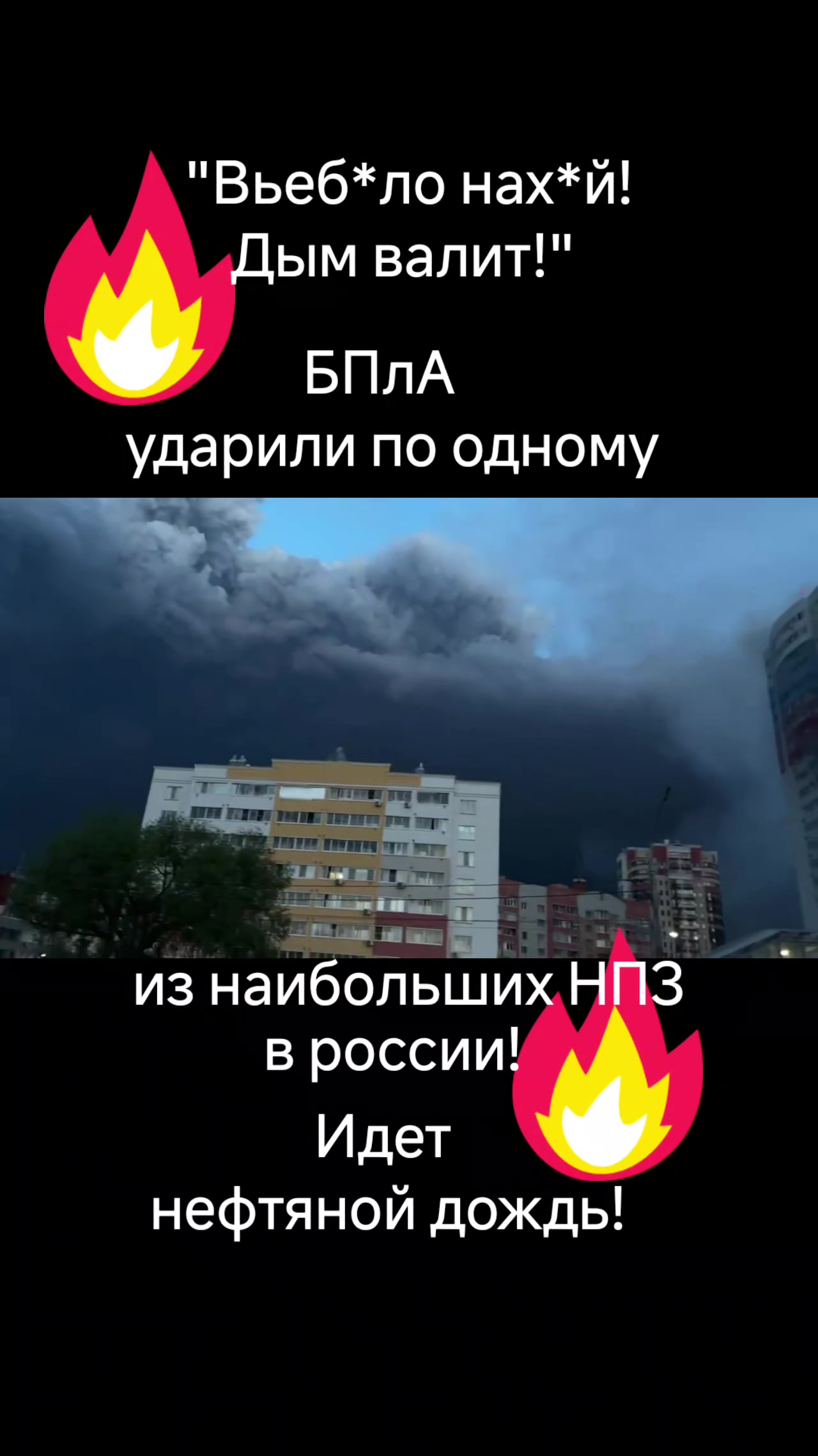 @haliina5