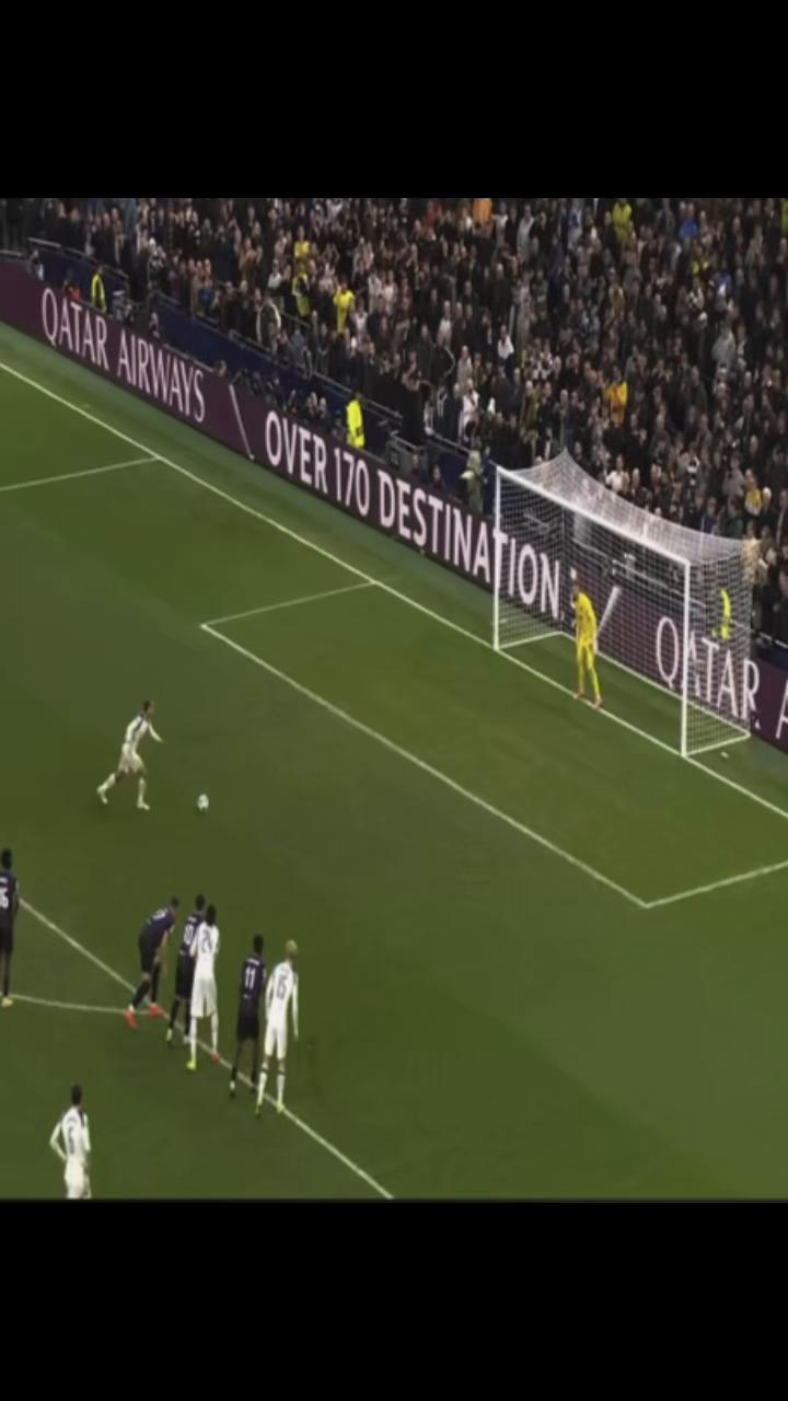 @thfc.teddy