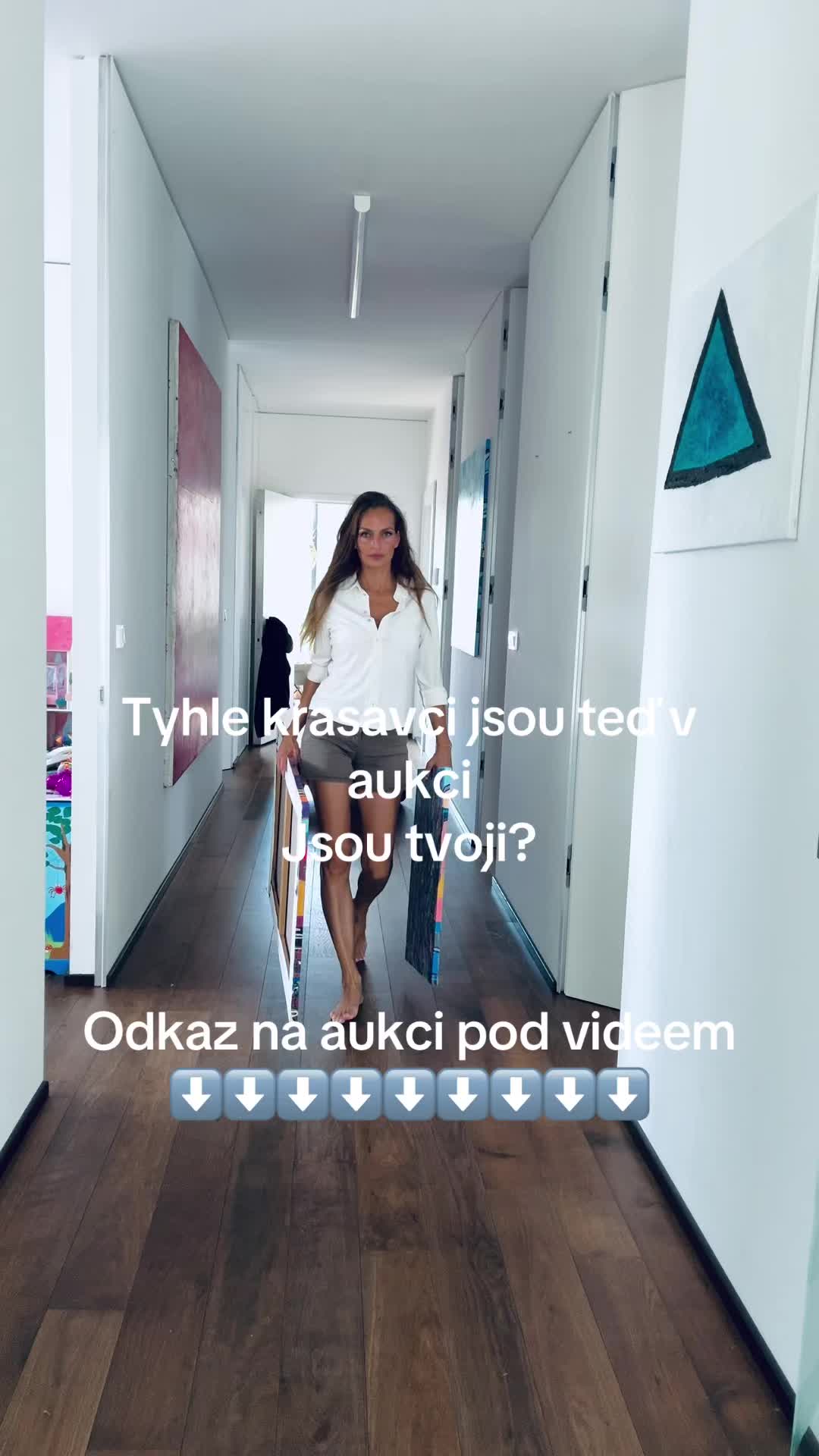 @Lucie Horackova