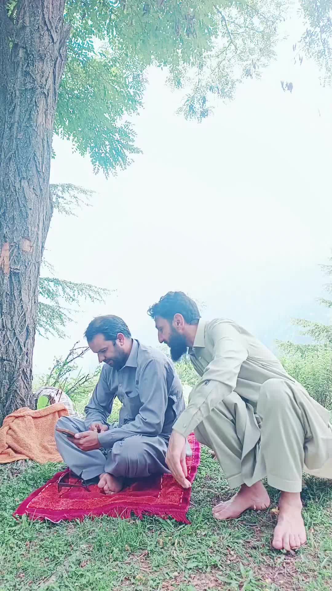 @Dr Haroon RPH