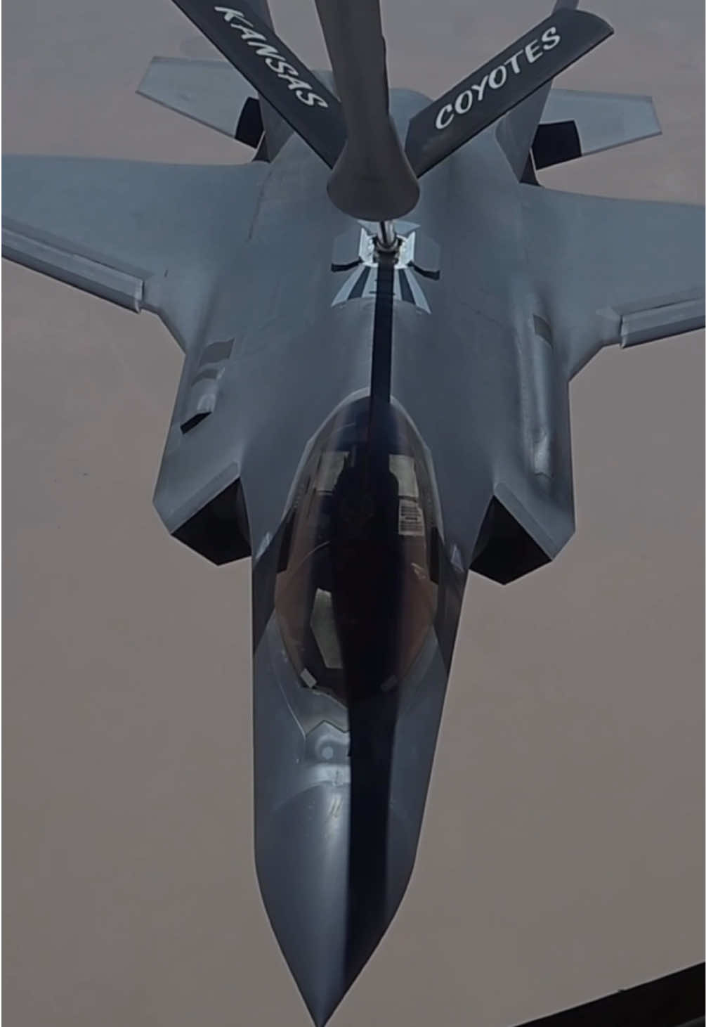 @Aviation Mafia