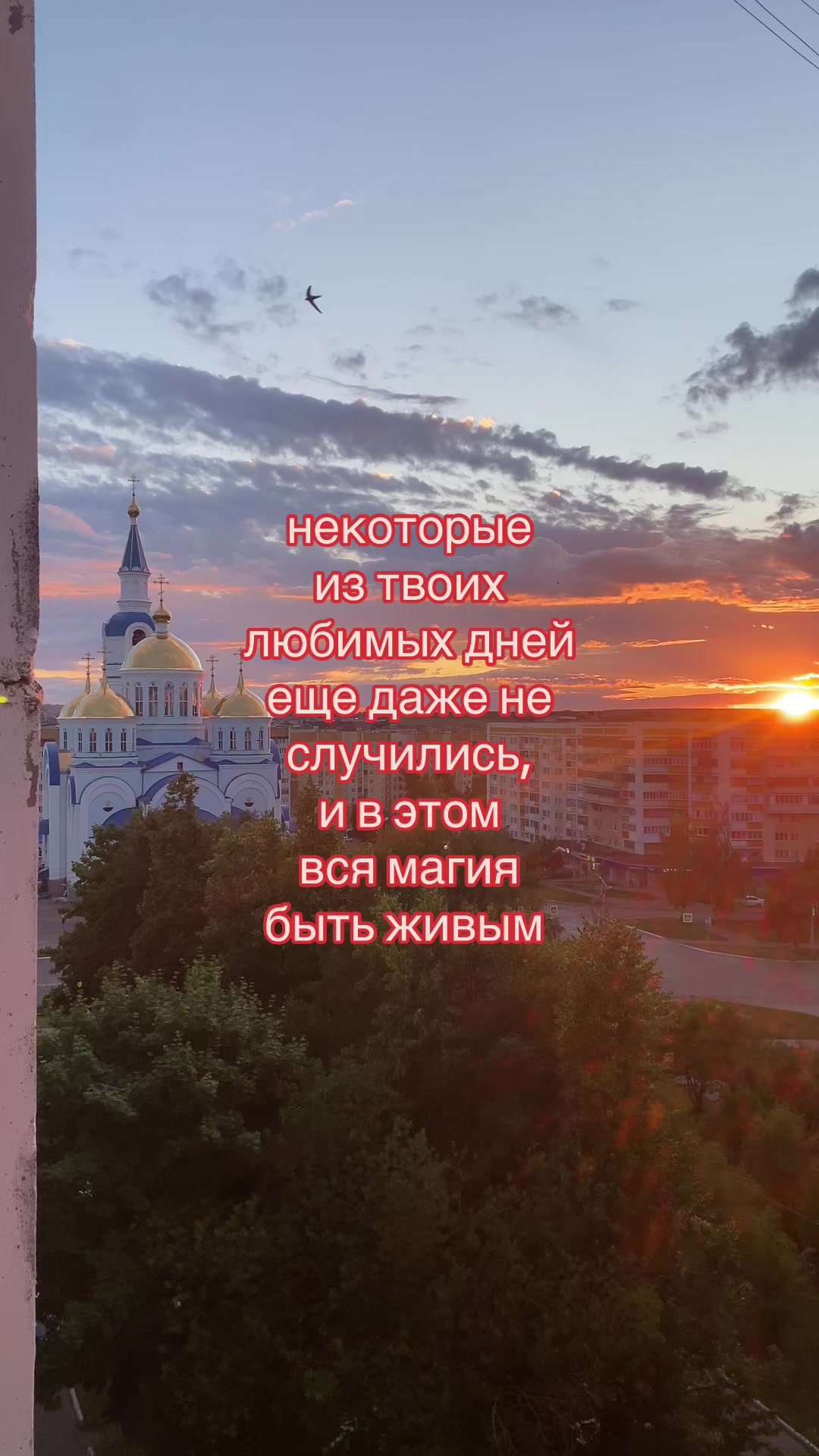 @тгк:agroej