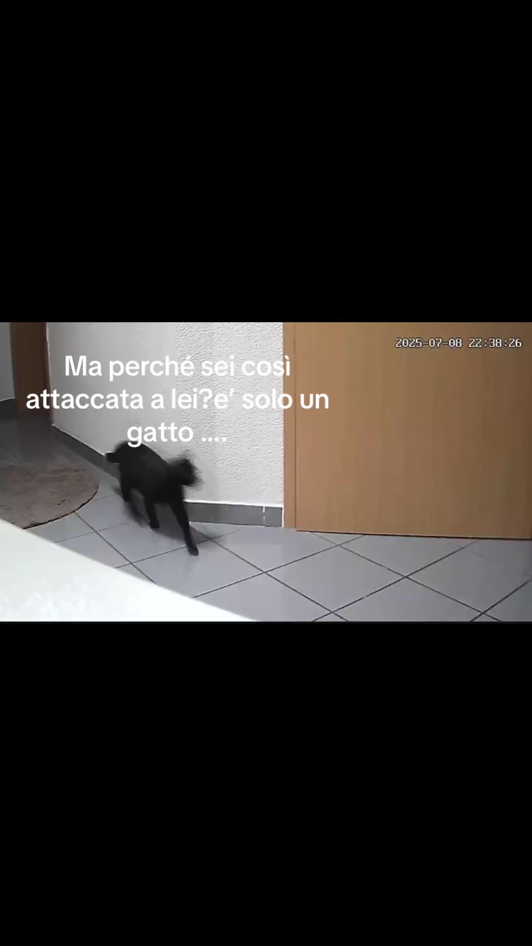 @🌹d@n!el@🌹