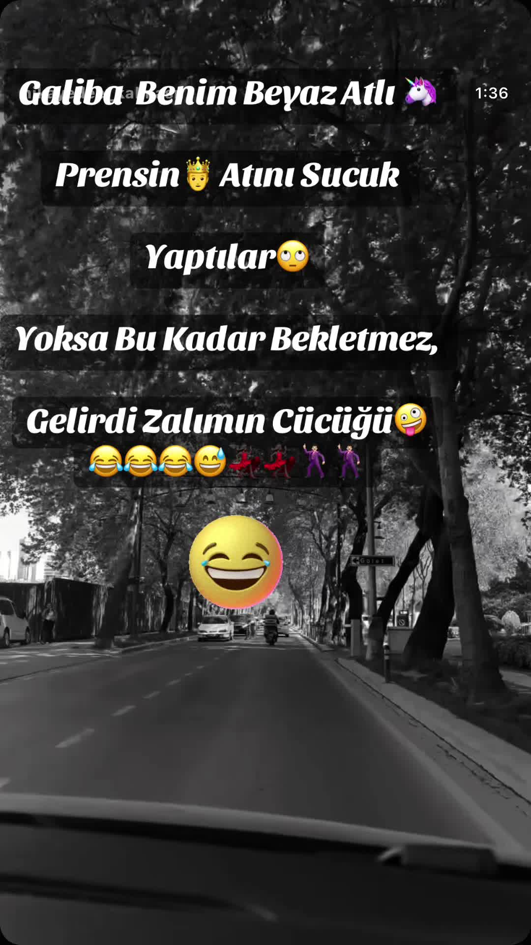 @✨🤍Ayliz_S🤍✨