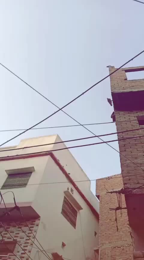 @LA LA 👑