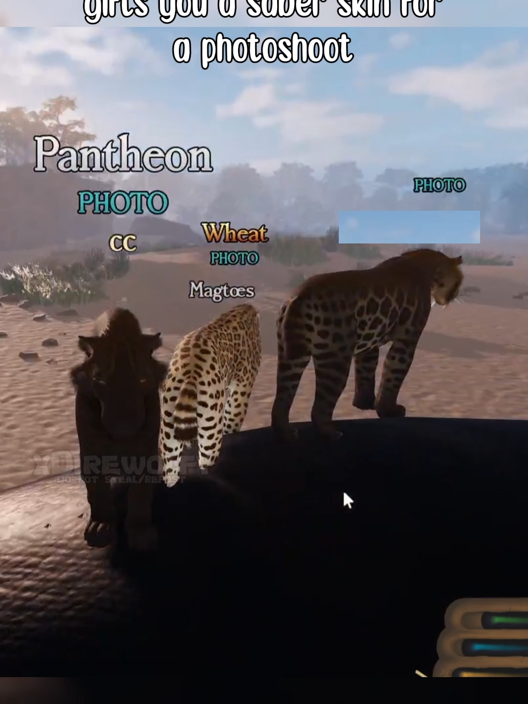 @xDirewolfy